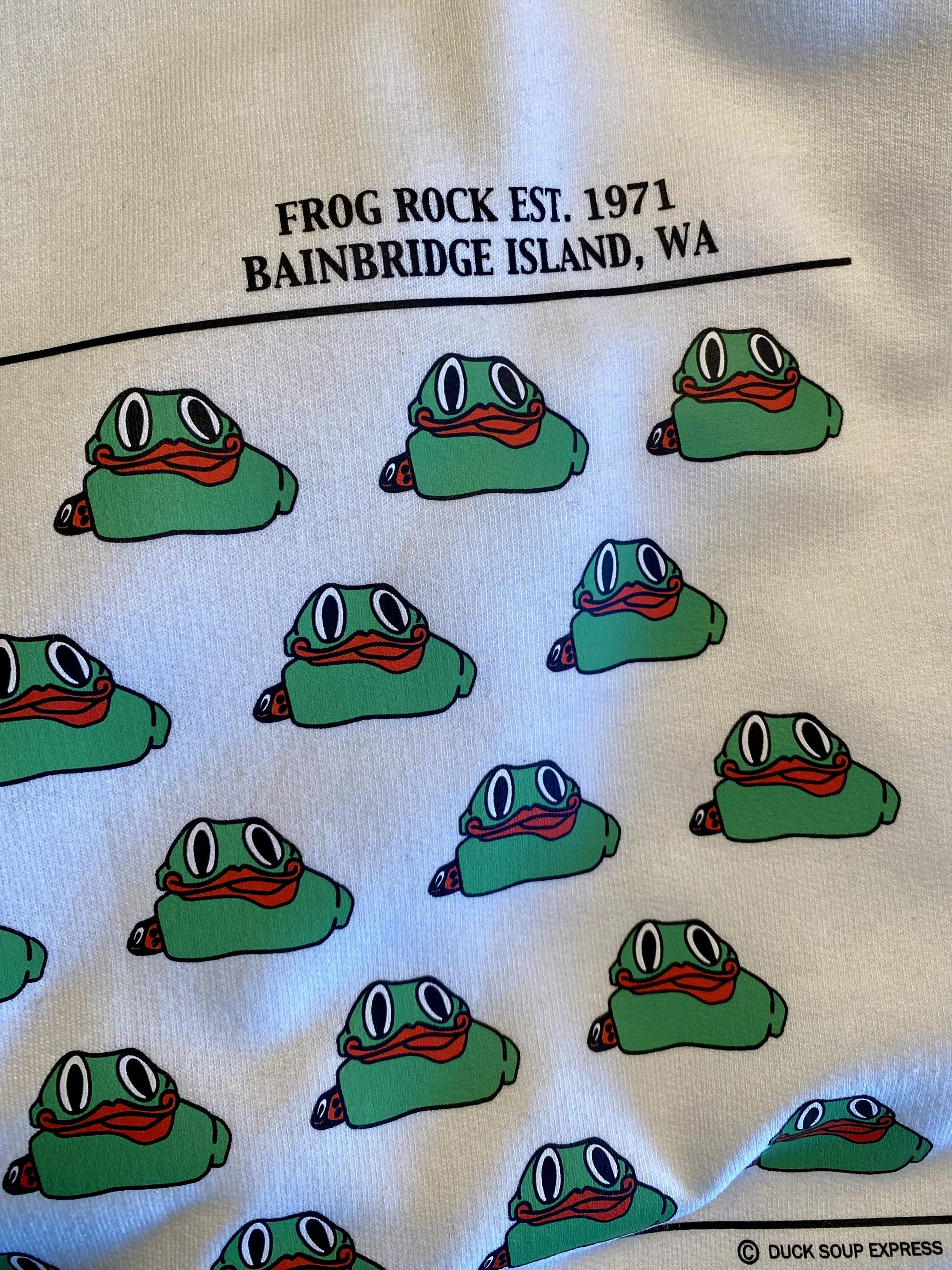 Pattern of cartoon green frogs with orange mouths and black eyes on a sweatshirt fabric, with text that reads 'Frog Rock Est. 1971 Bainbridge Island, WA'.