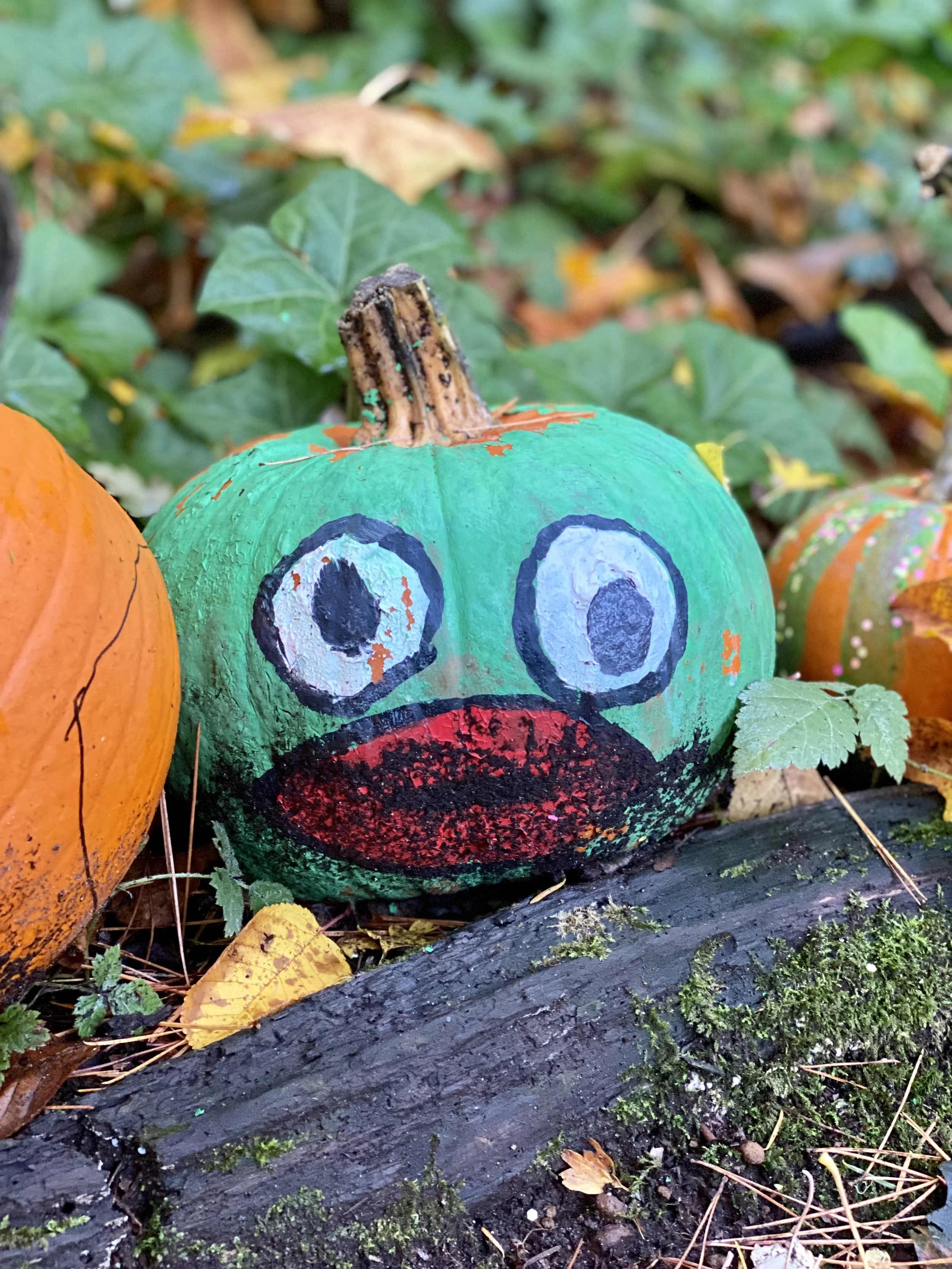 A painted pumpkin with a frog face, featuring large white eyes with black pupils and a wide red curlicue  mouth, sitting outdoors among autumn leaves and other pumpkins.