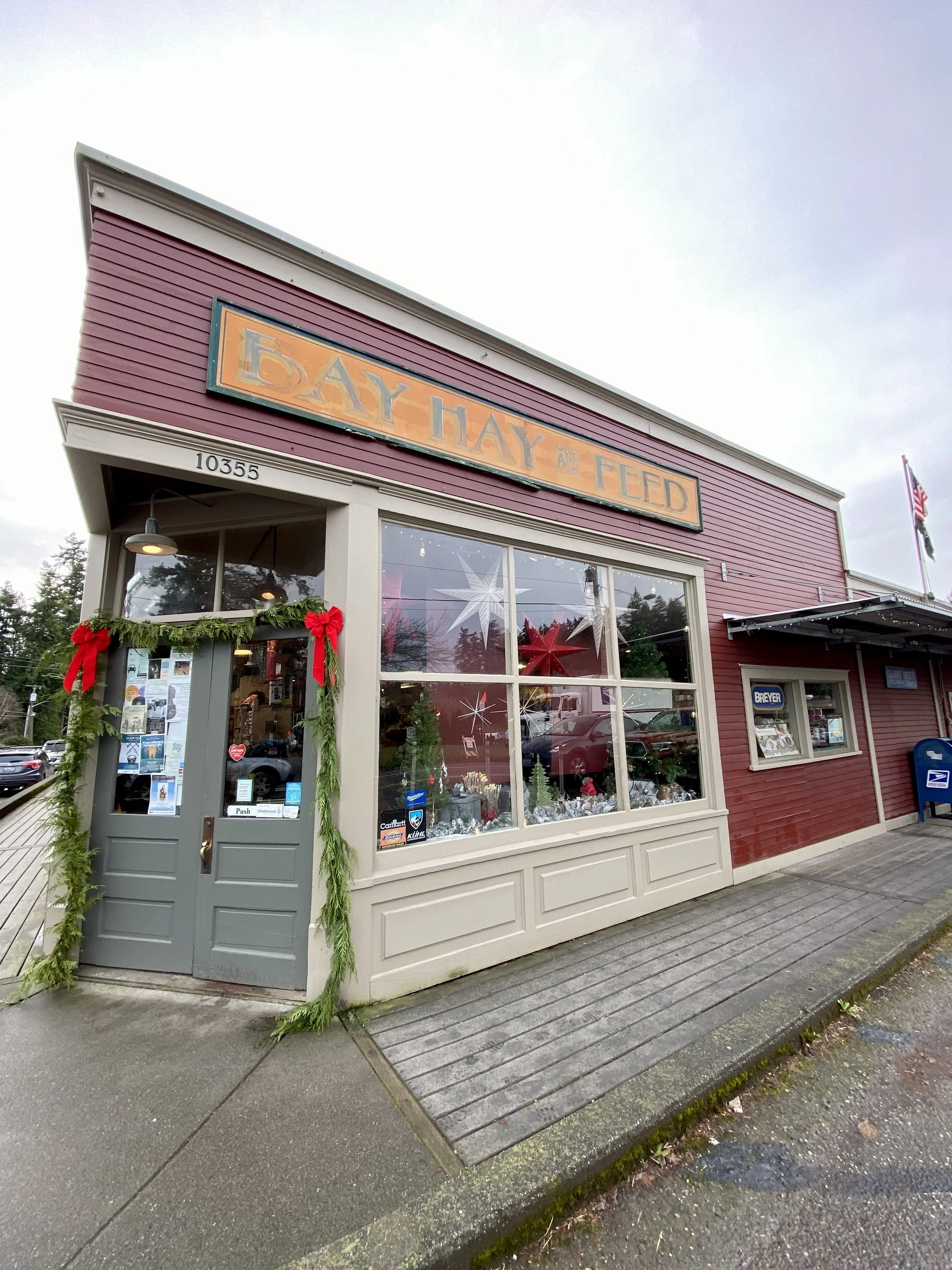 Exterior of a store called Bay Hay and Feed with holiday decorations, Christmas trees, and star ornaments in the window.