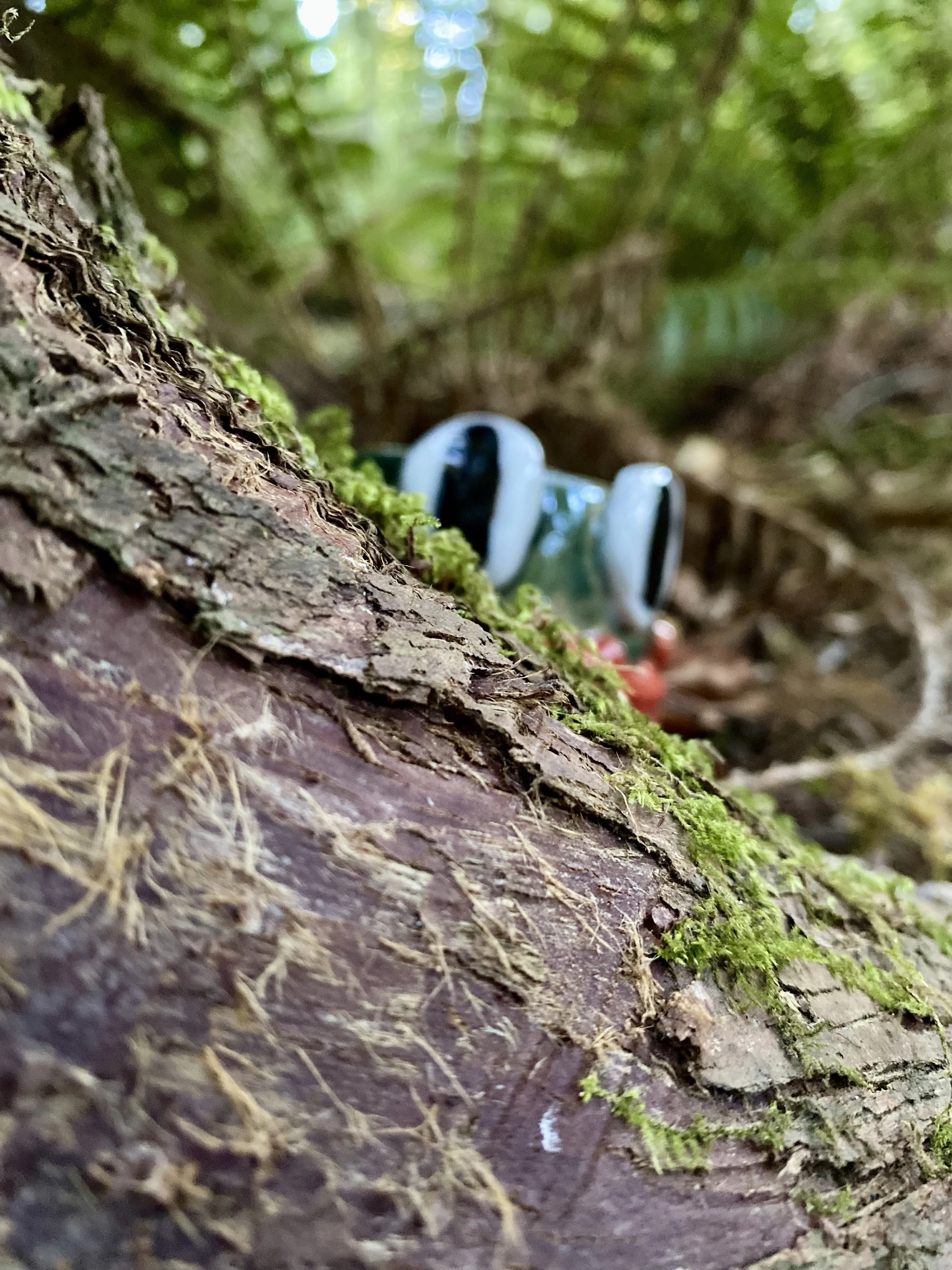 Frog Rock Tumbler | Lost Forest Ceramics