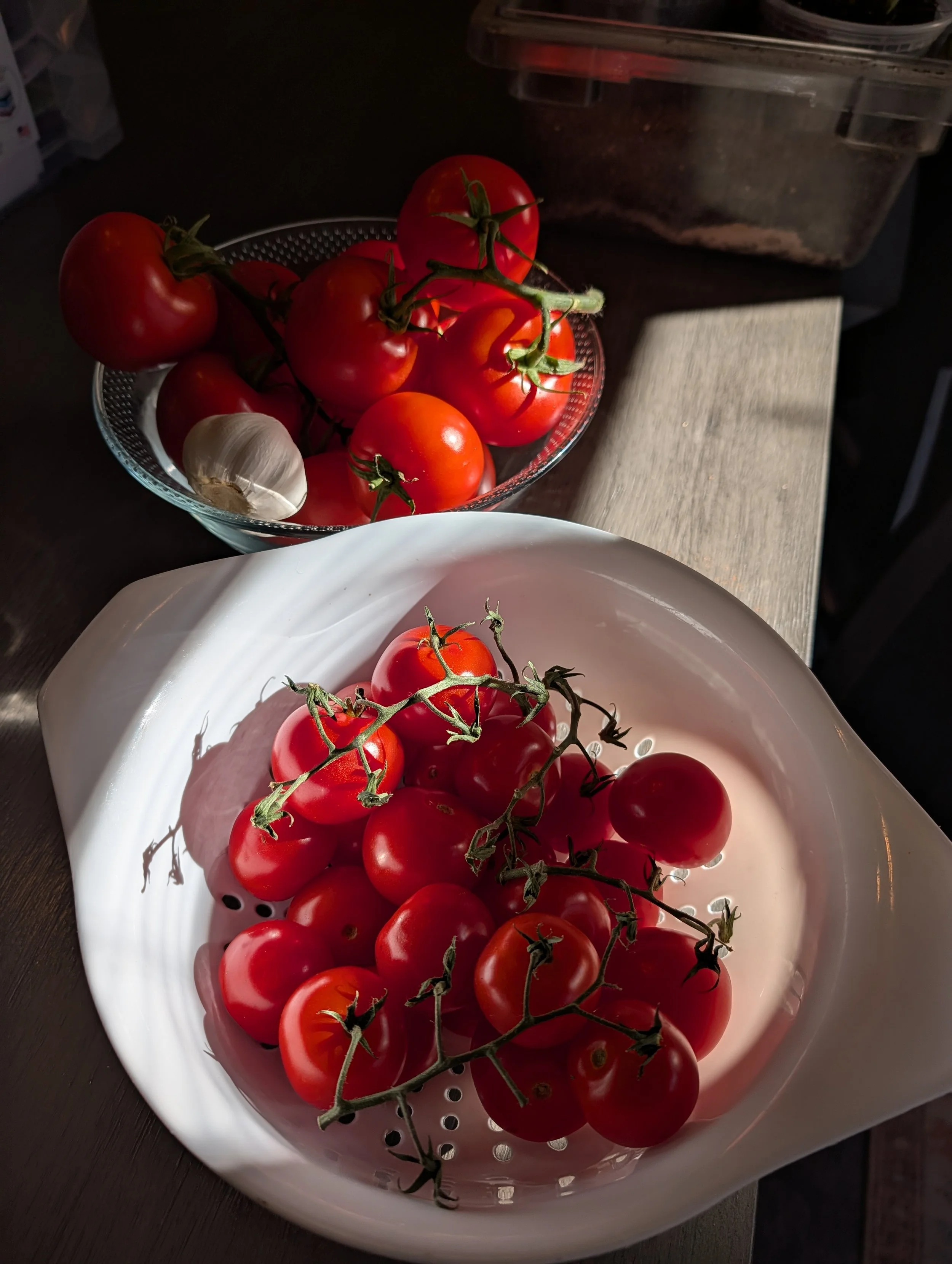 A bowl and a plate both containing cherry tomatoes and garlic on a dark surface with a textured beige mat nearby.