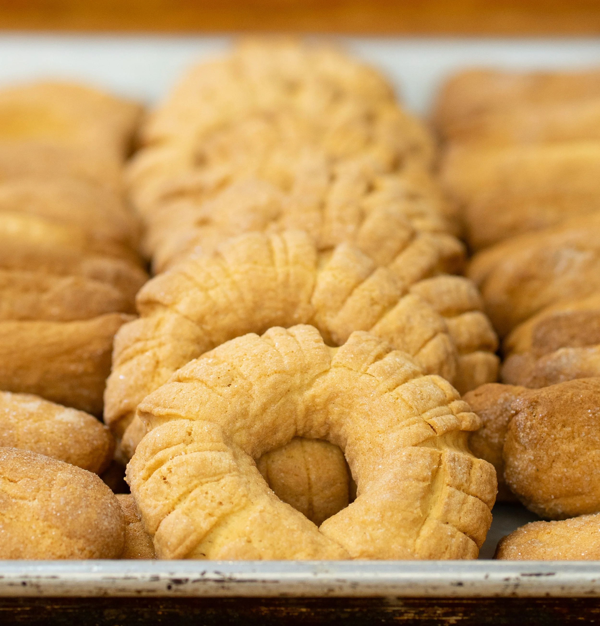 Close-up of a tray of sugar cookies, with a few ring-shaped cookies in the foreground and more cookies in the background.