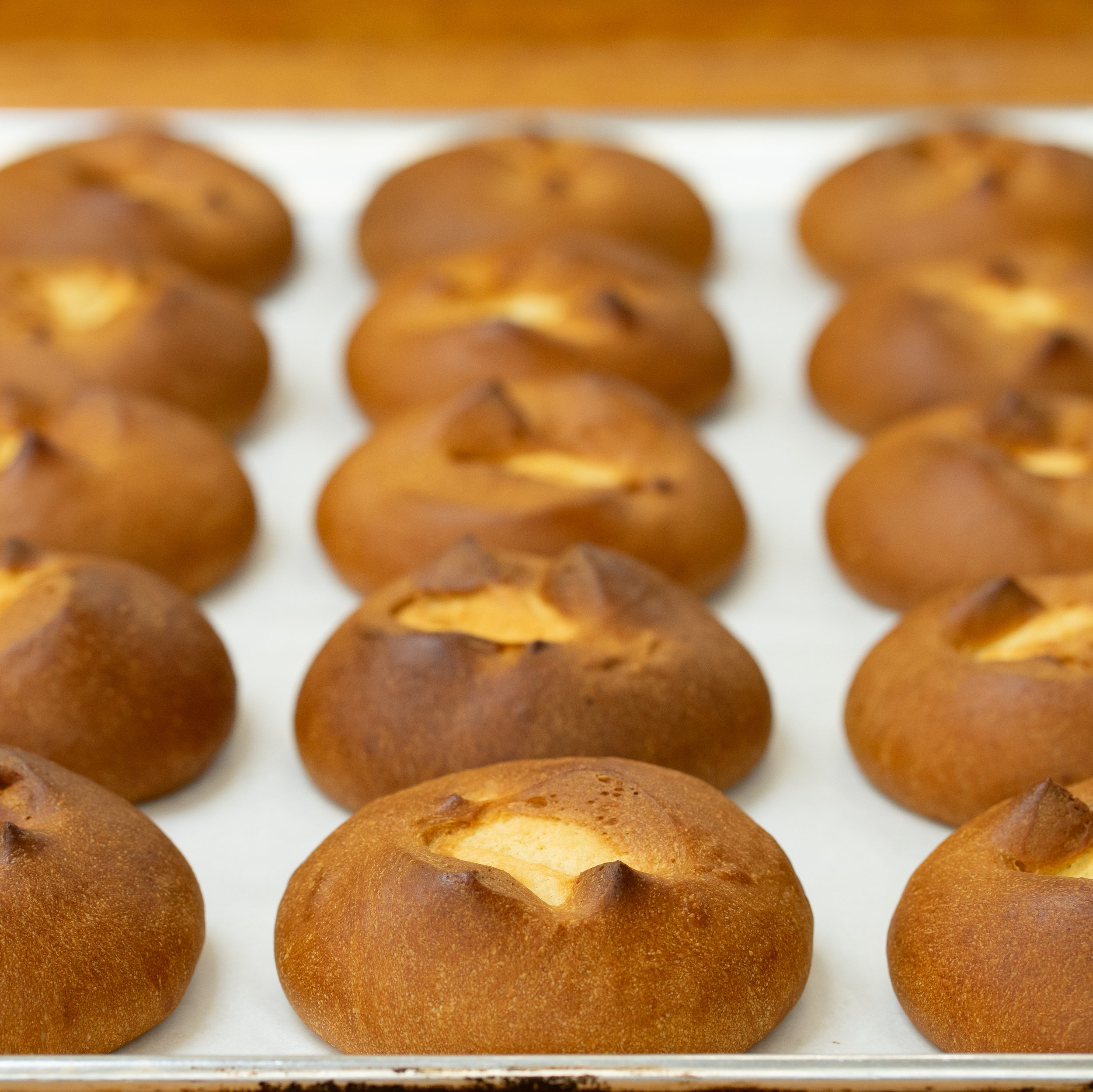 Rows of freshly baked bread rolls on a baking sheet