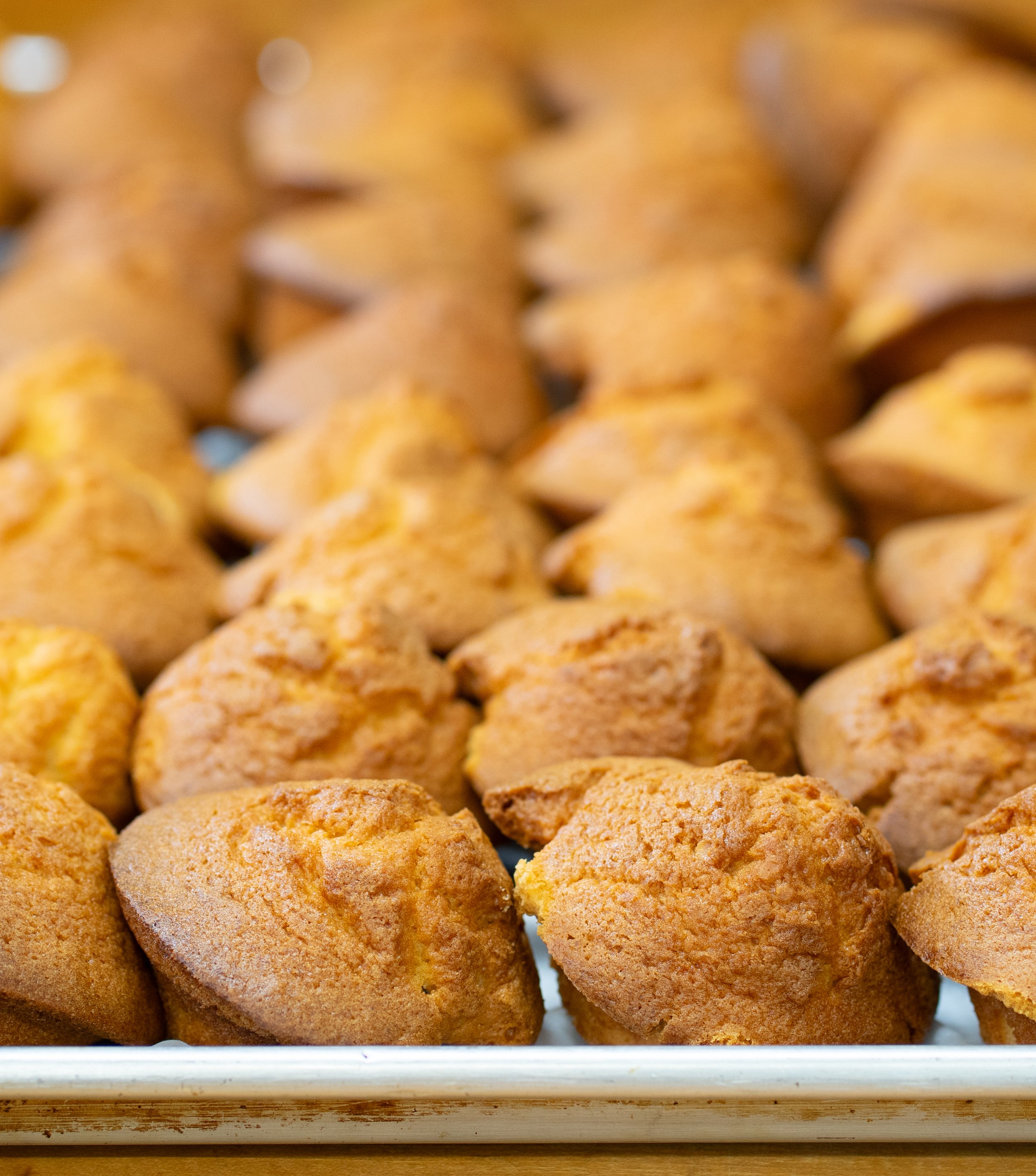 Close-up of golden-brown cookies arranged on a tray.