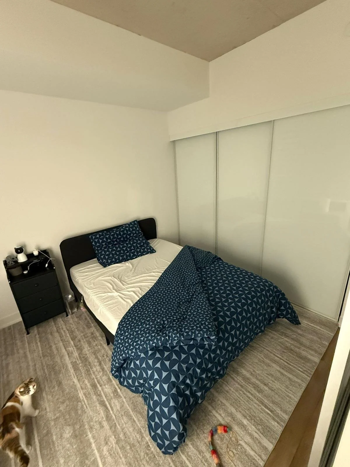 WhatsApp Image 2025-11-28 at 09.51.41 (1).jpeg