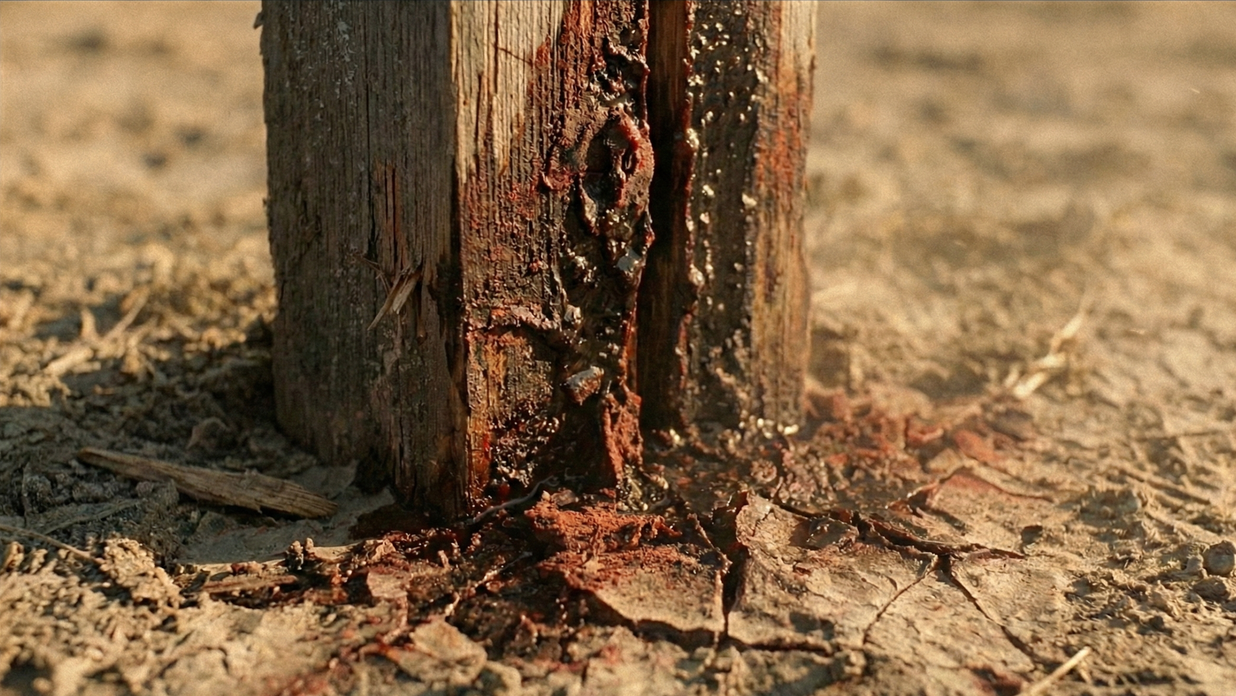 Screenshot 2026-01-07 at 4.58.47 PM.png