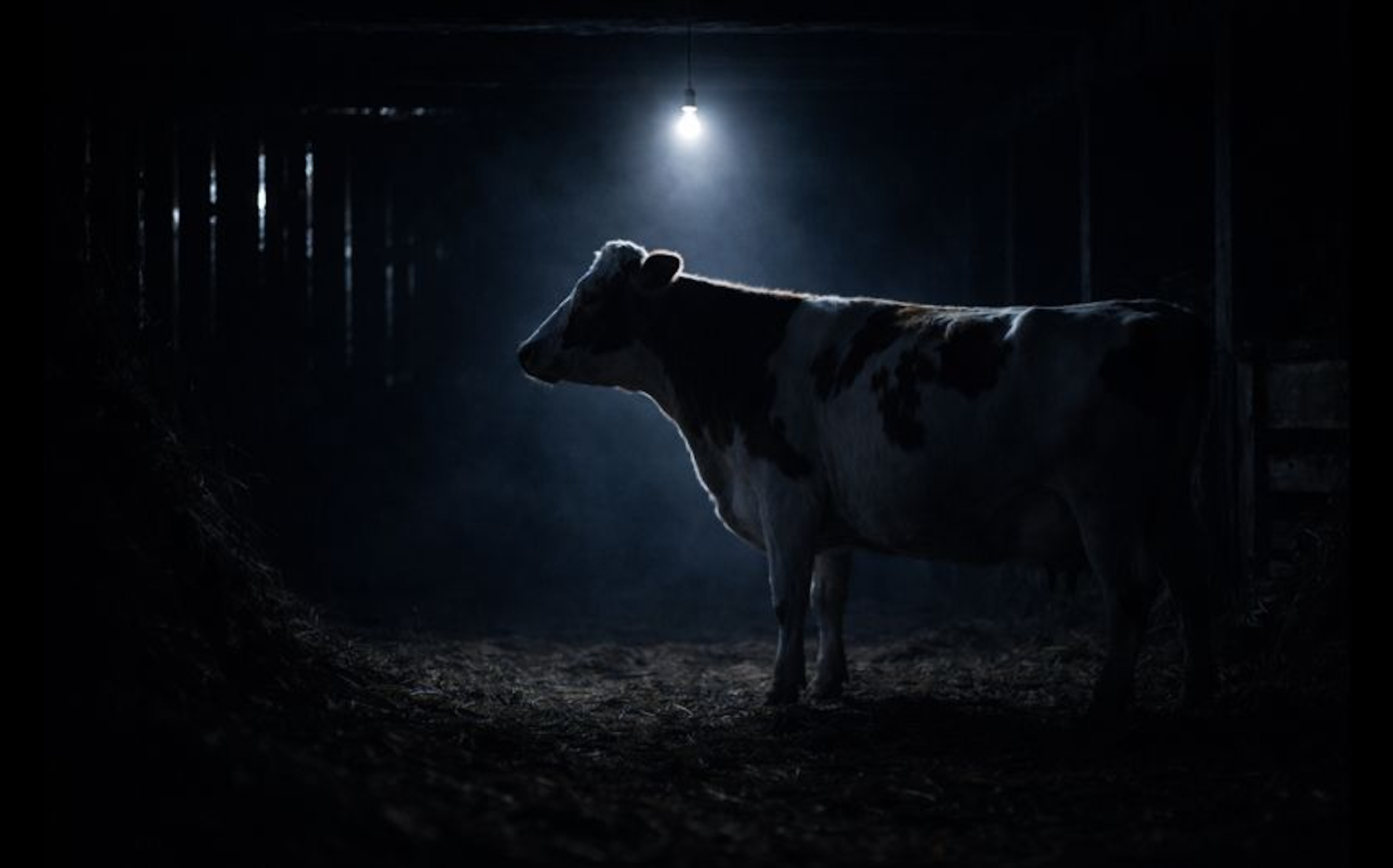 Screenshot 2026-01-09 at 7.13.24 PM.png