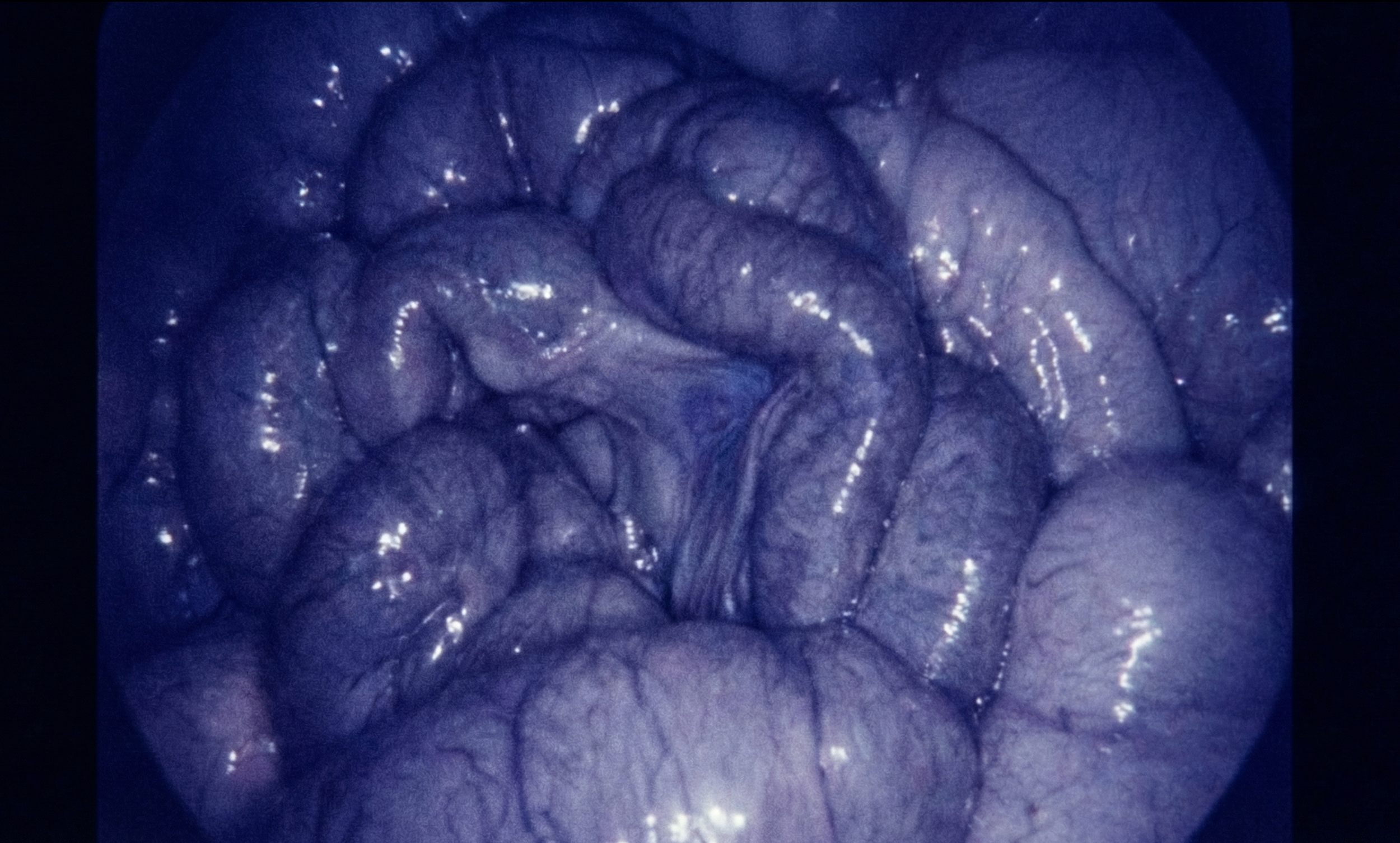 Screenshot 2026-01-09 at 8.16.31 PM.png