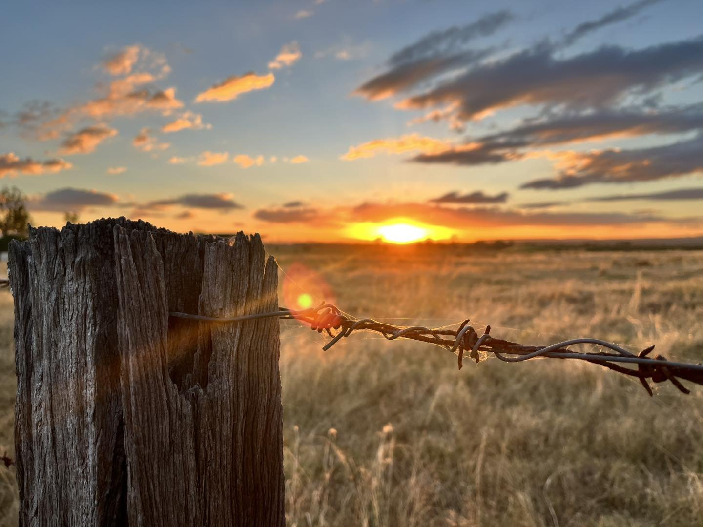 Close-up of a weathered wooden fence post with a bent barbed wire, set against a sunset over an open field with scattered clouds.