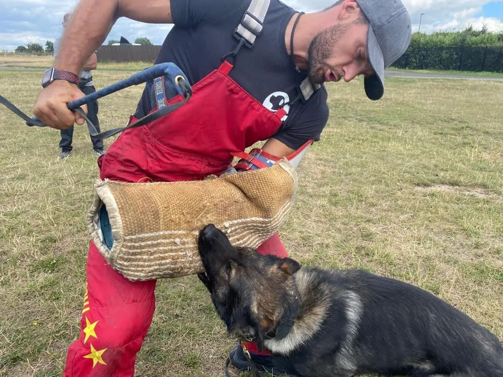 A man wearing a red and black training suit with a German Shepherd dog during a training session outdoors. The dog is biting onto a protective sleeve worn by the man.