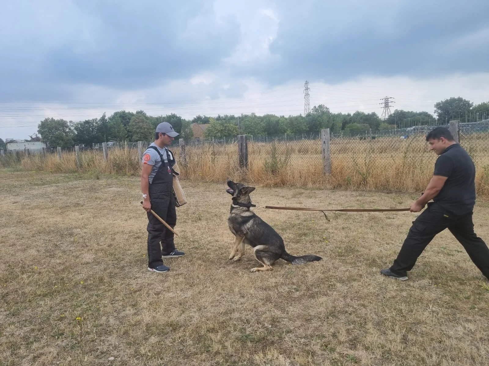 Two men training a German Shepherd dog in an outdoor field, with one man holding the dog's leash and the other monitoring the training, under a cloudy sky.