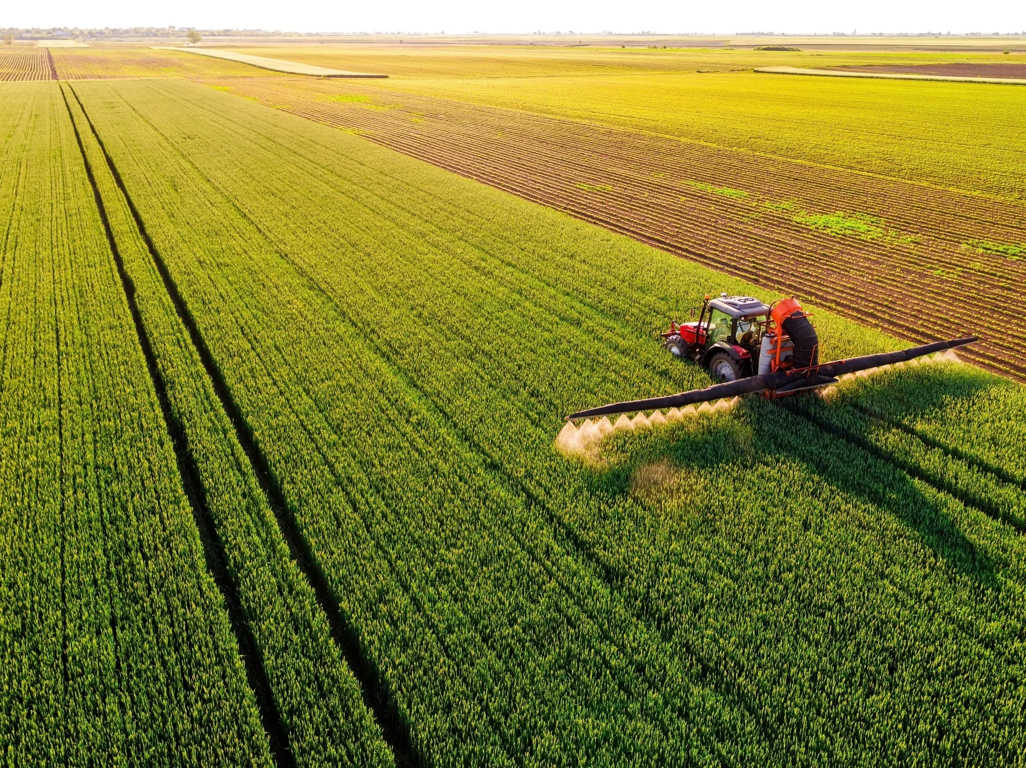 A red tractor sprayer is spraying crops in a vast green field.