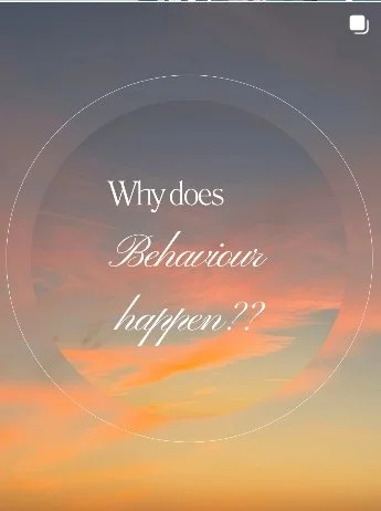 A sky at sunset with a pastel gradient of orange, pink, and blue, overlaid with the text "Why does Behavior happen??" in white and cursive font.