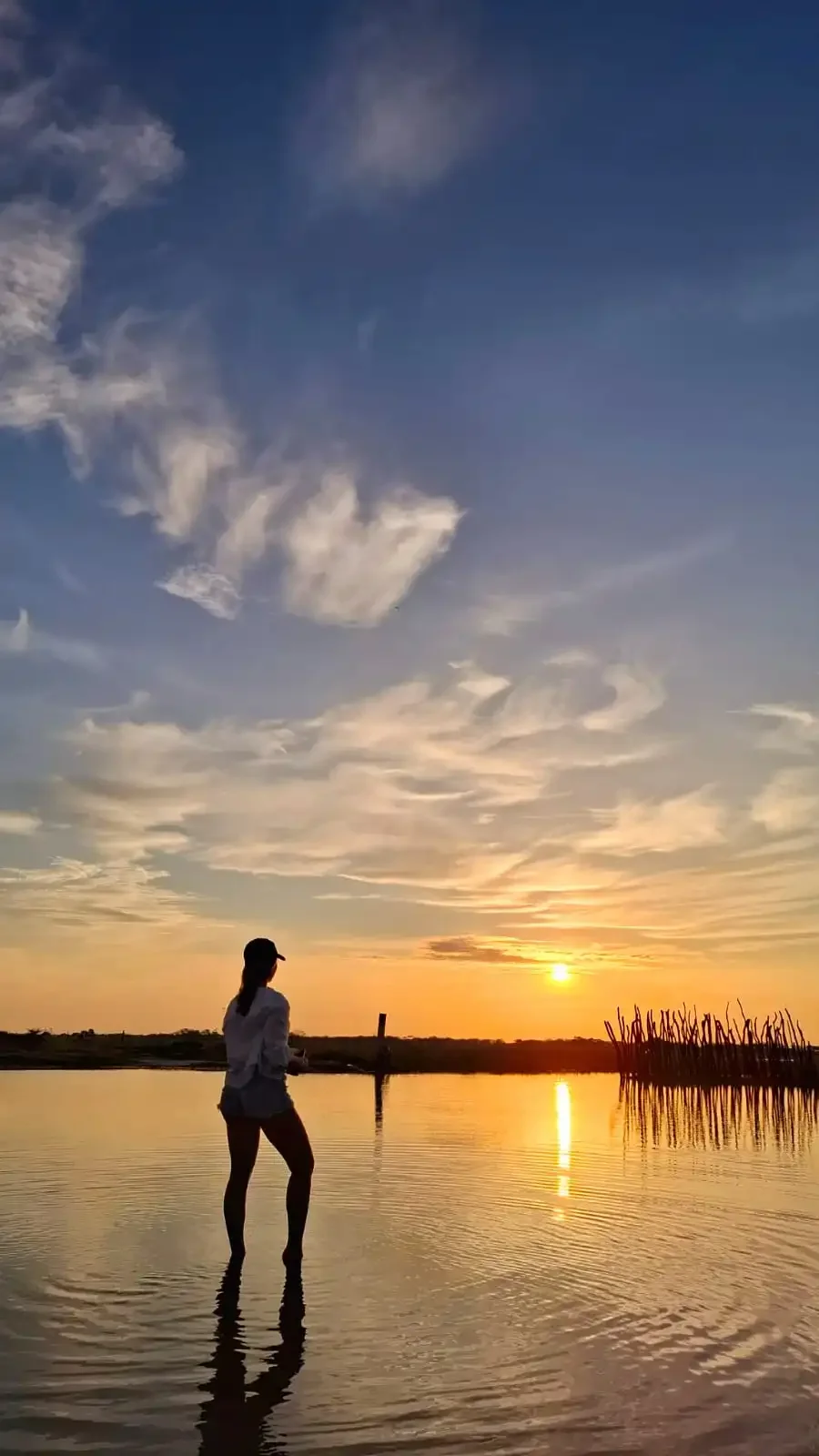 Vive destinos inolvidables con nuestros paquetes completos que incluyen tiquetes, alojamiento (desde categoría turista hasta categoría de lujo), traslados, tours y asistencia médica. Garantizamos comodidad, seguridad y experiencias únicas en cada via