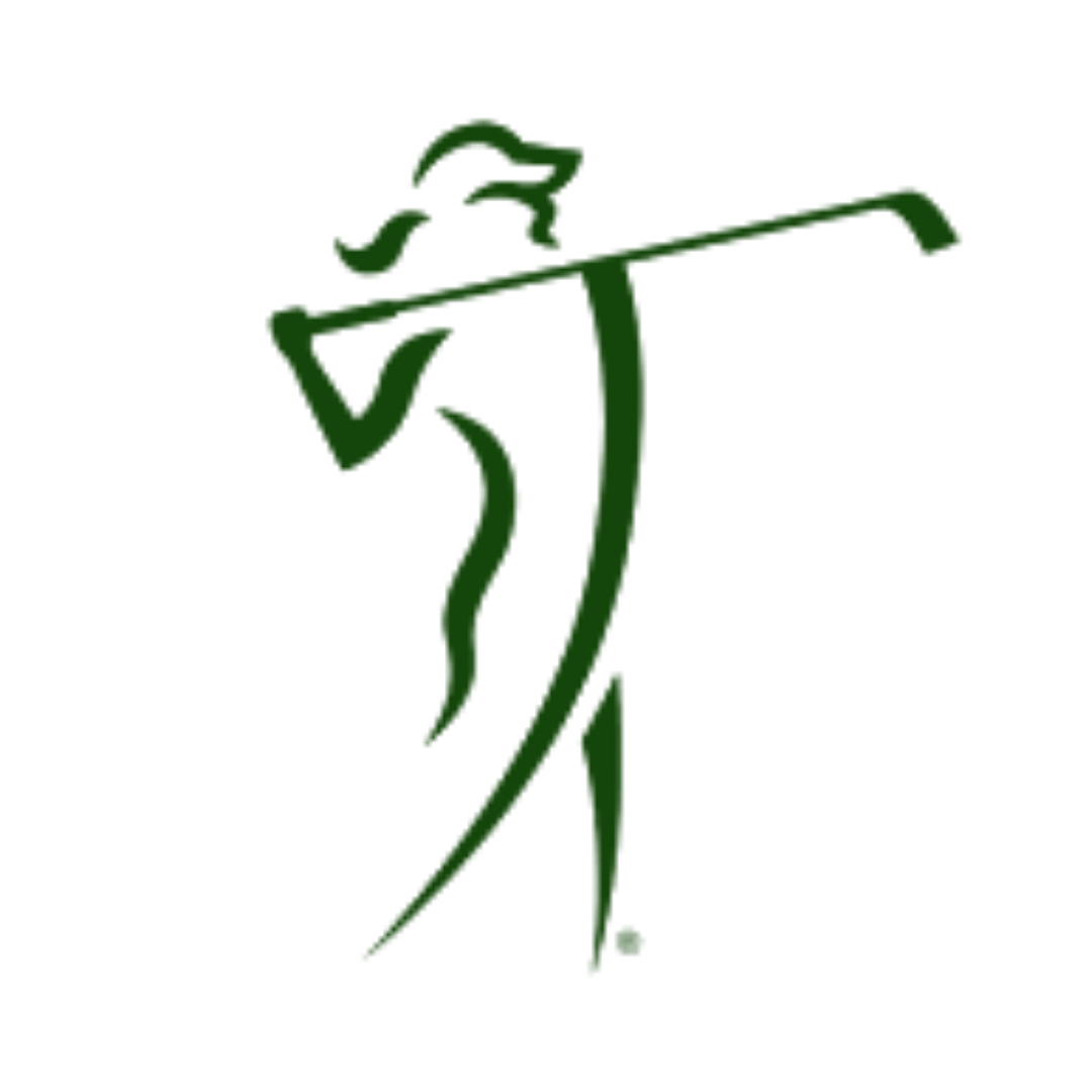 Green outline of a person leaning on a podium with a large checkmark behind them, holding a microphone in one hand.