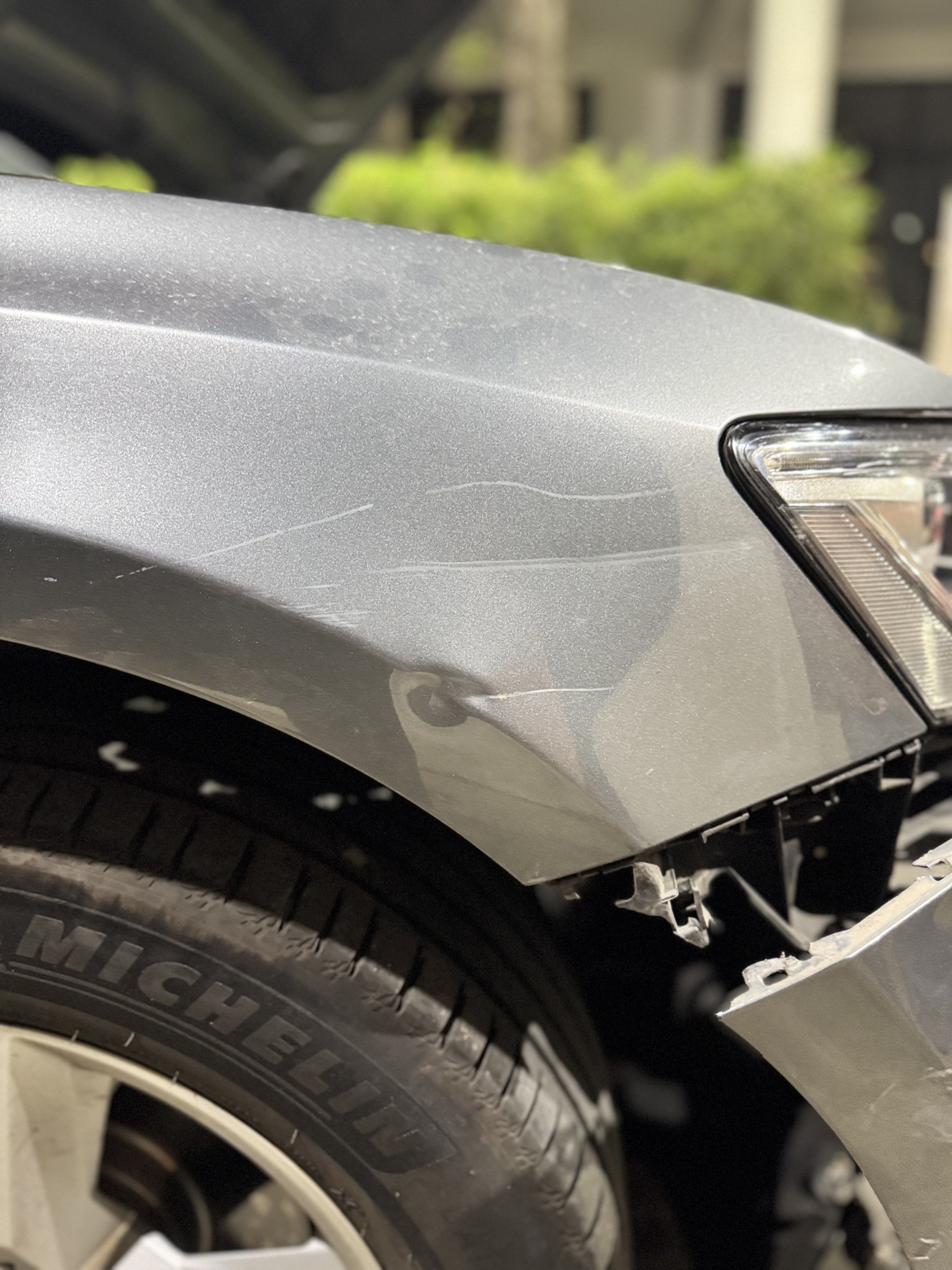 IMG_7940.jpeg