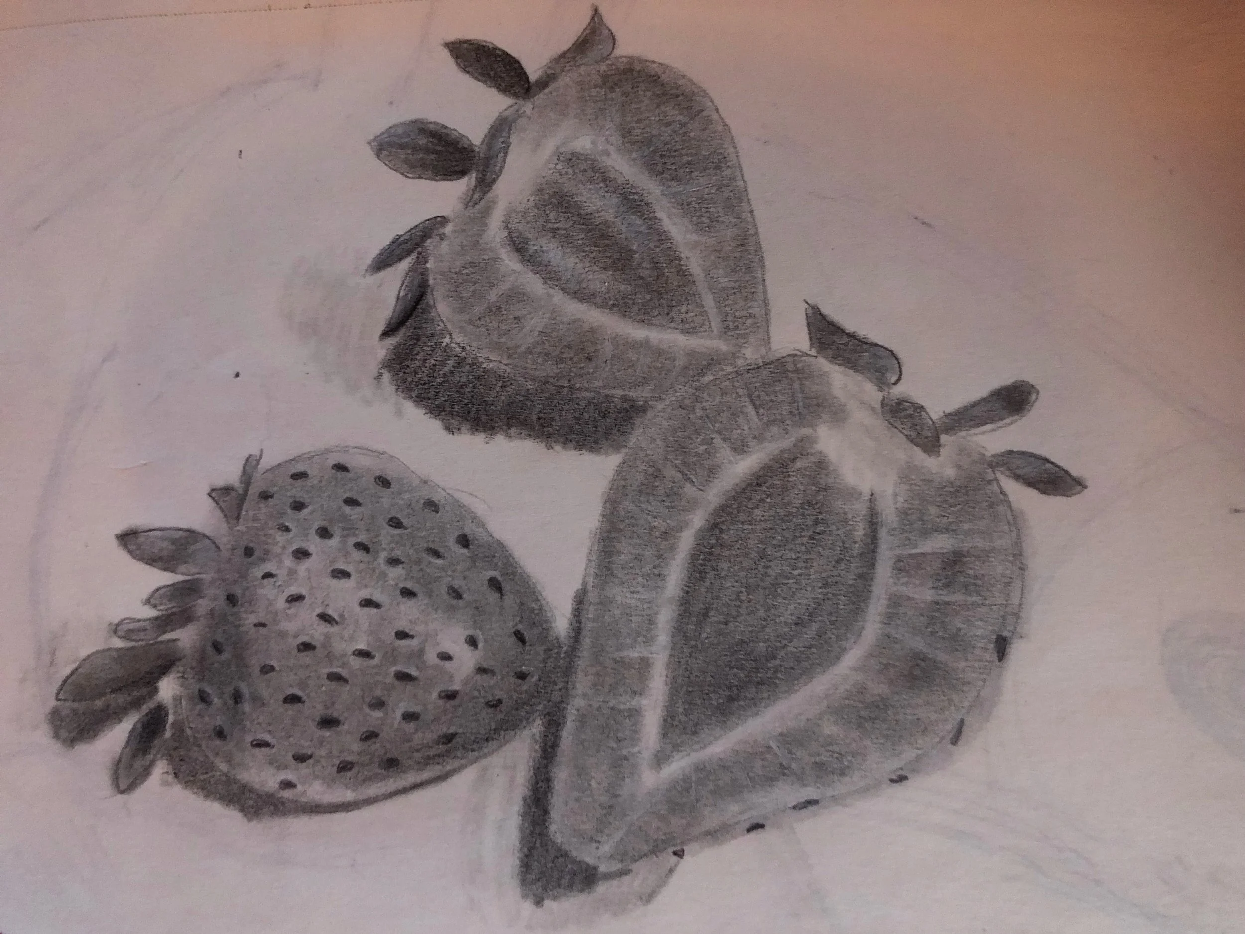 graphite still life