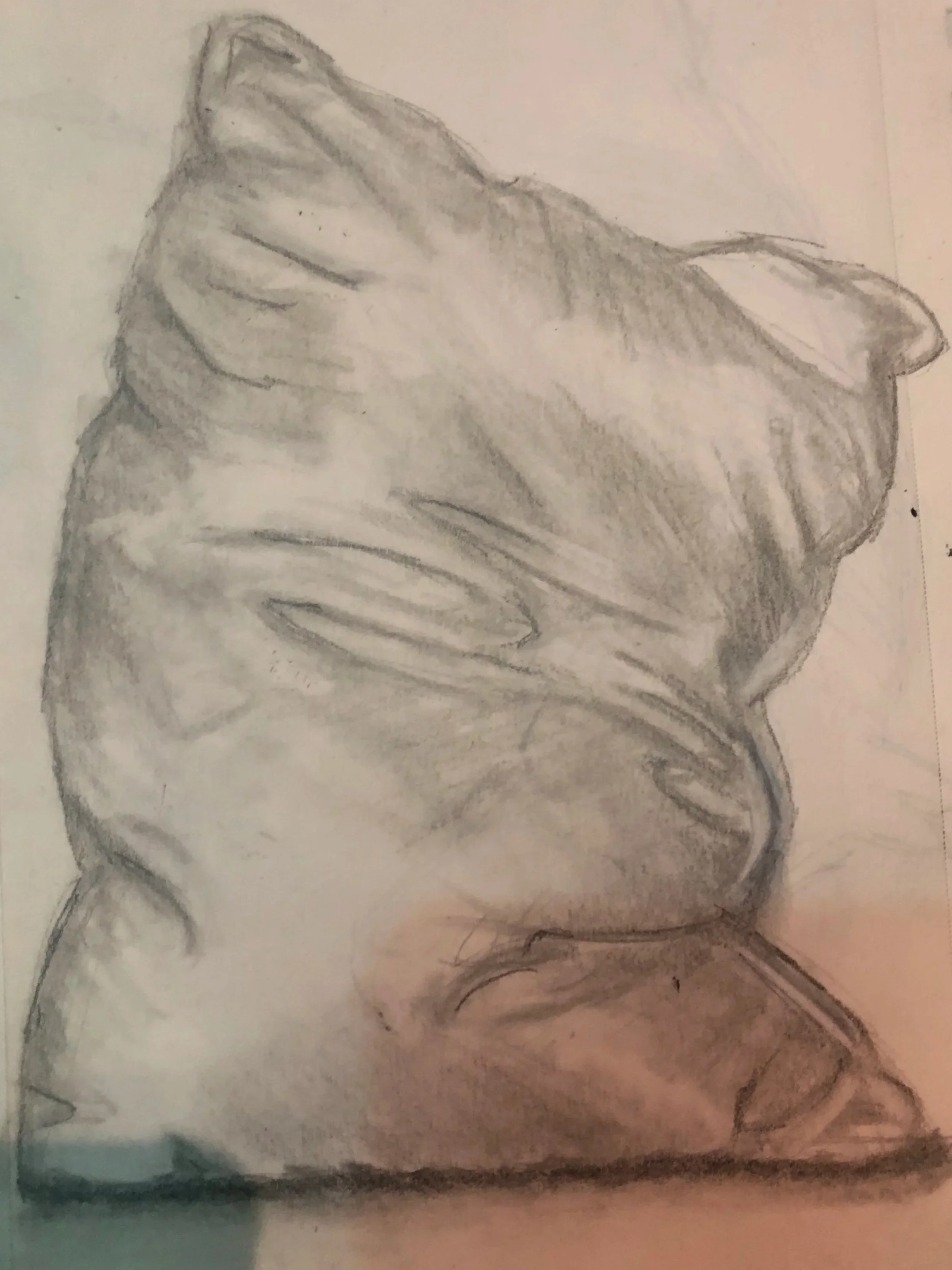 graphite still life