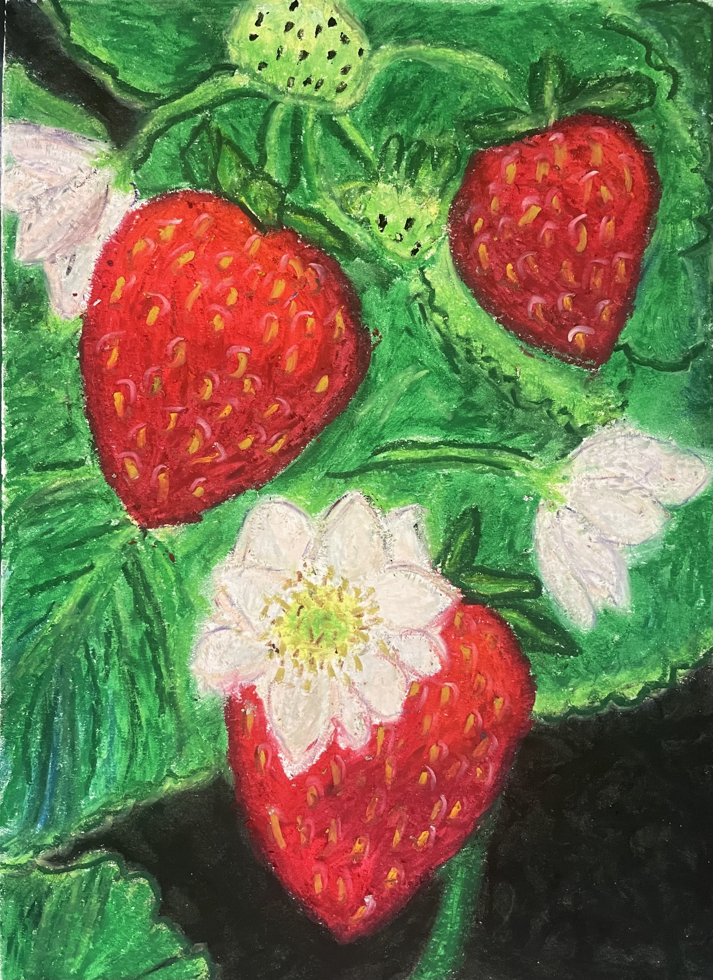 Framed Strawberries Oil Pastel - Original