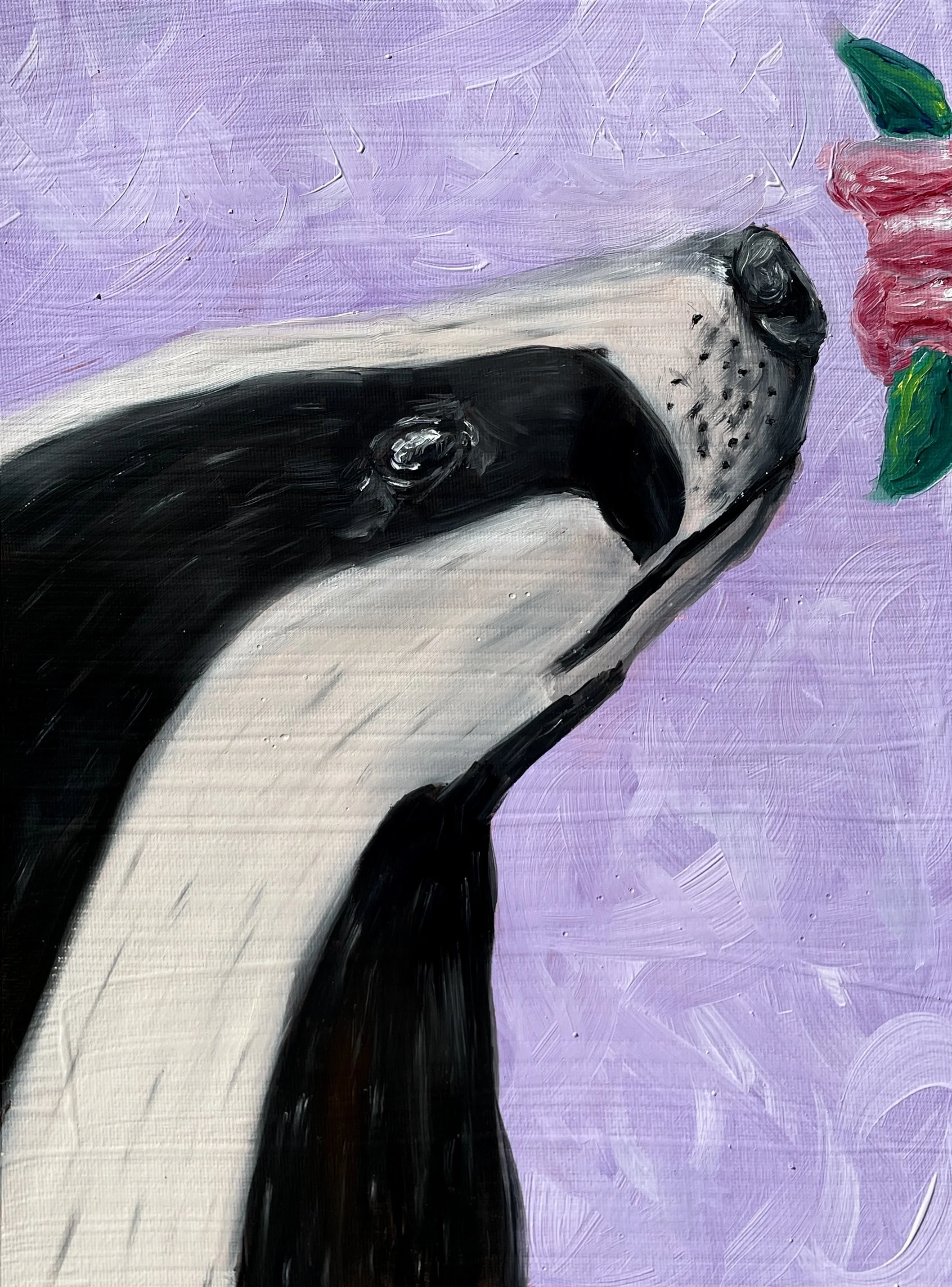 Badger Print