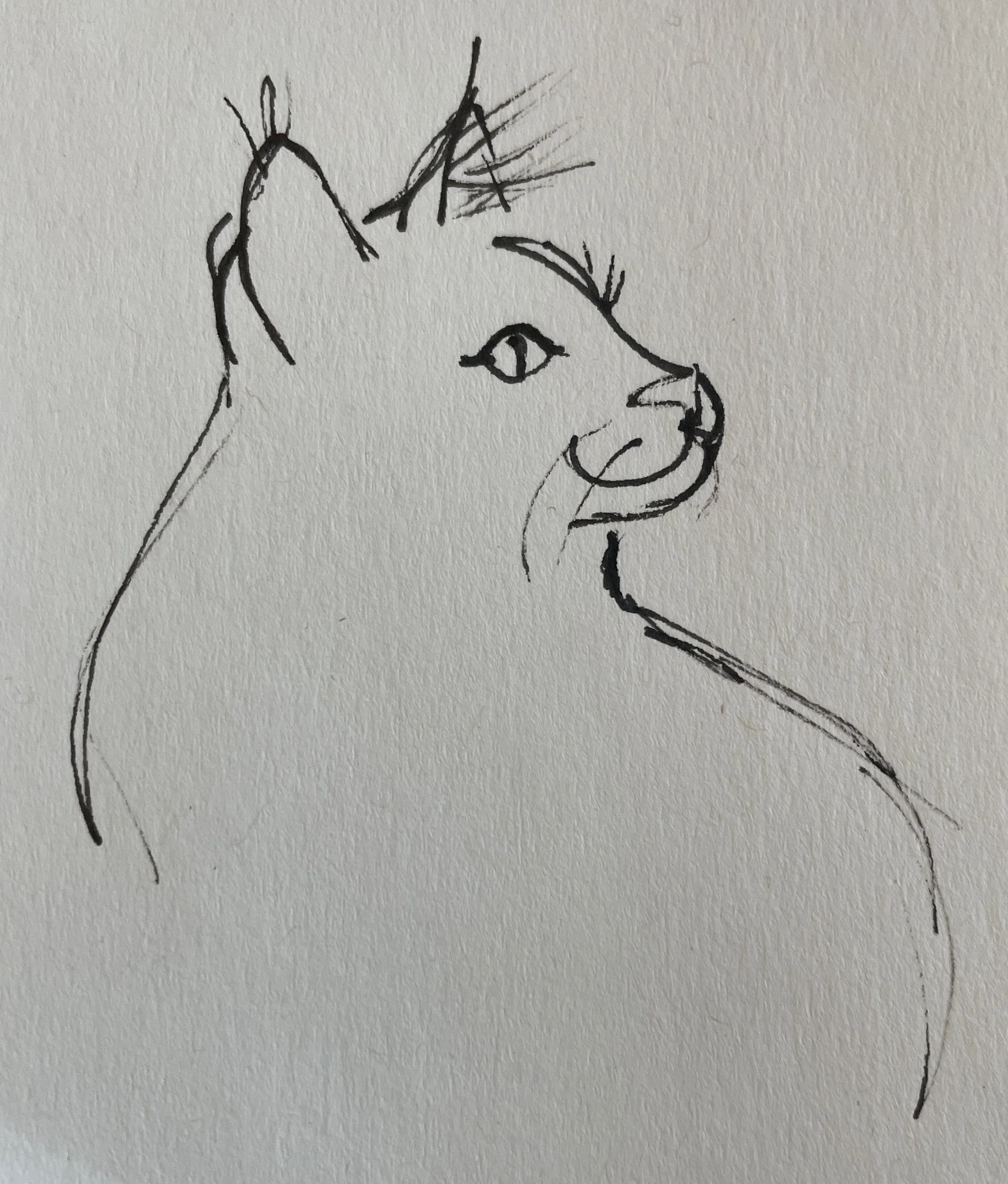 ink pet portrait