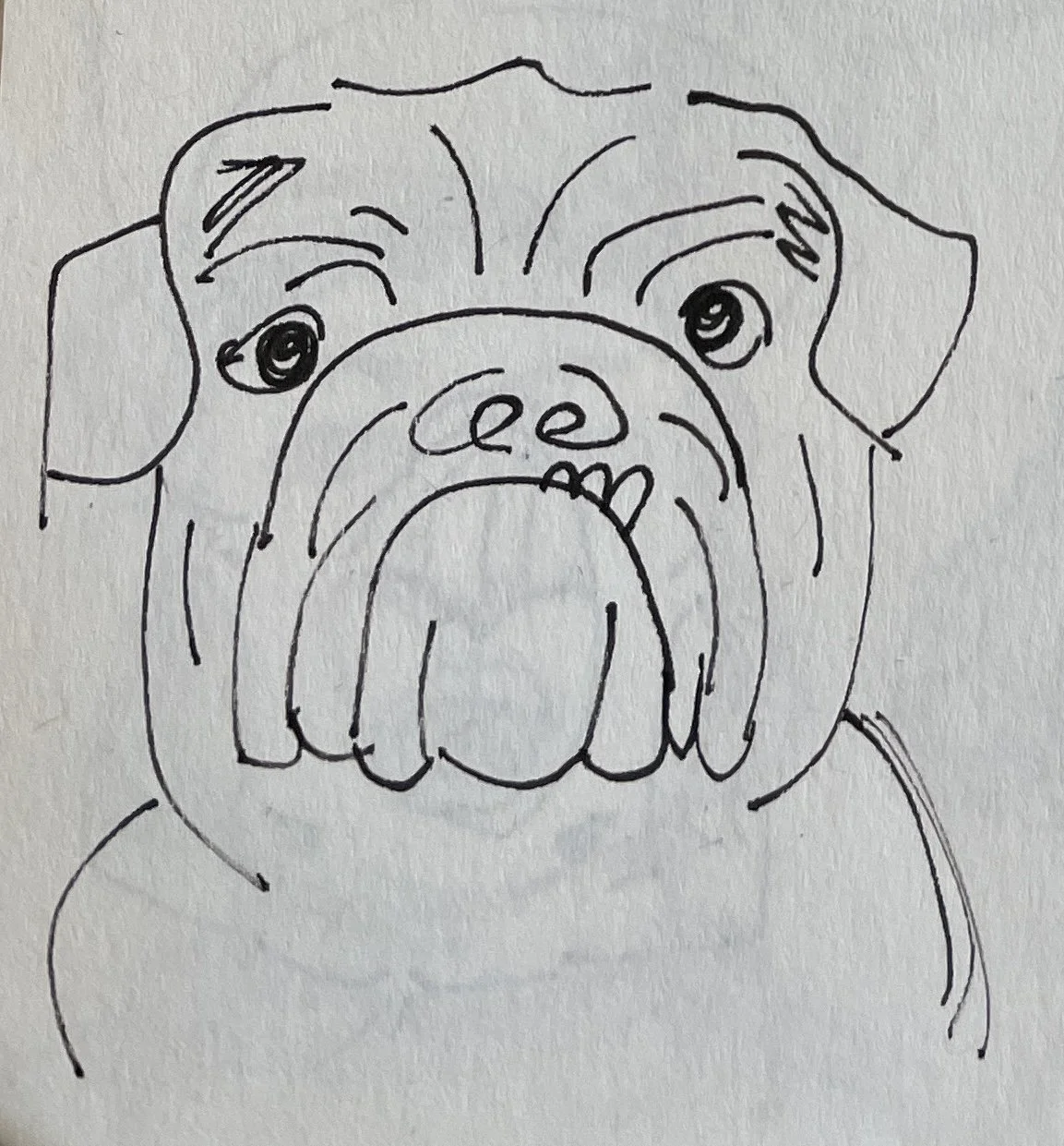 ink pet portrait