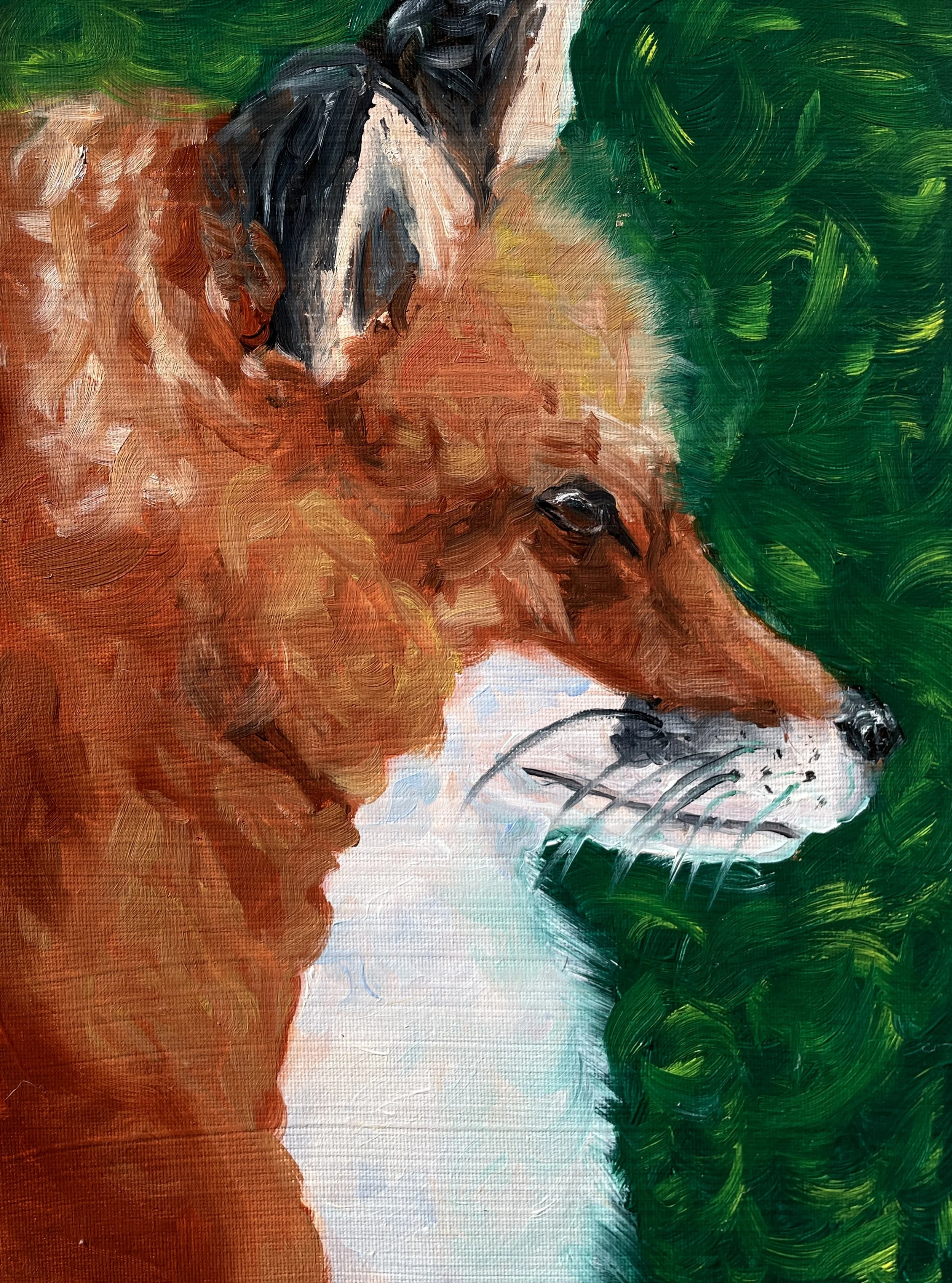 Fox Original Painting