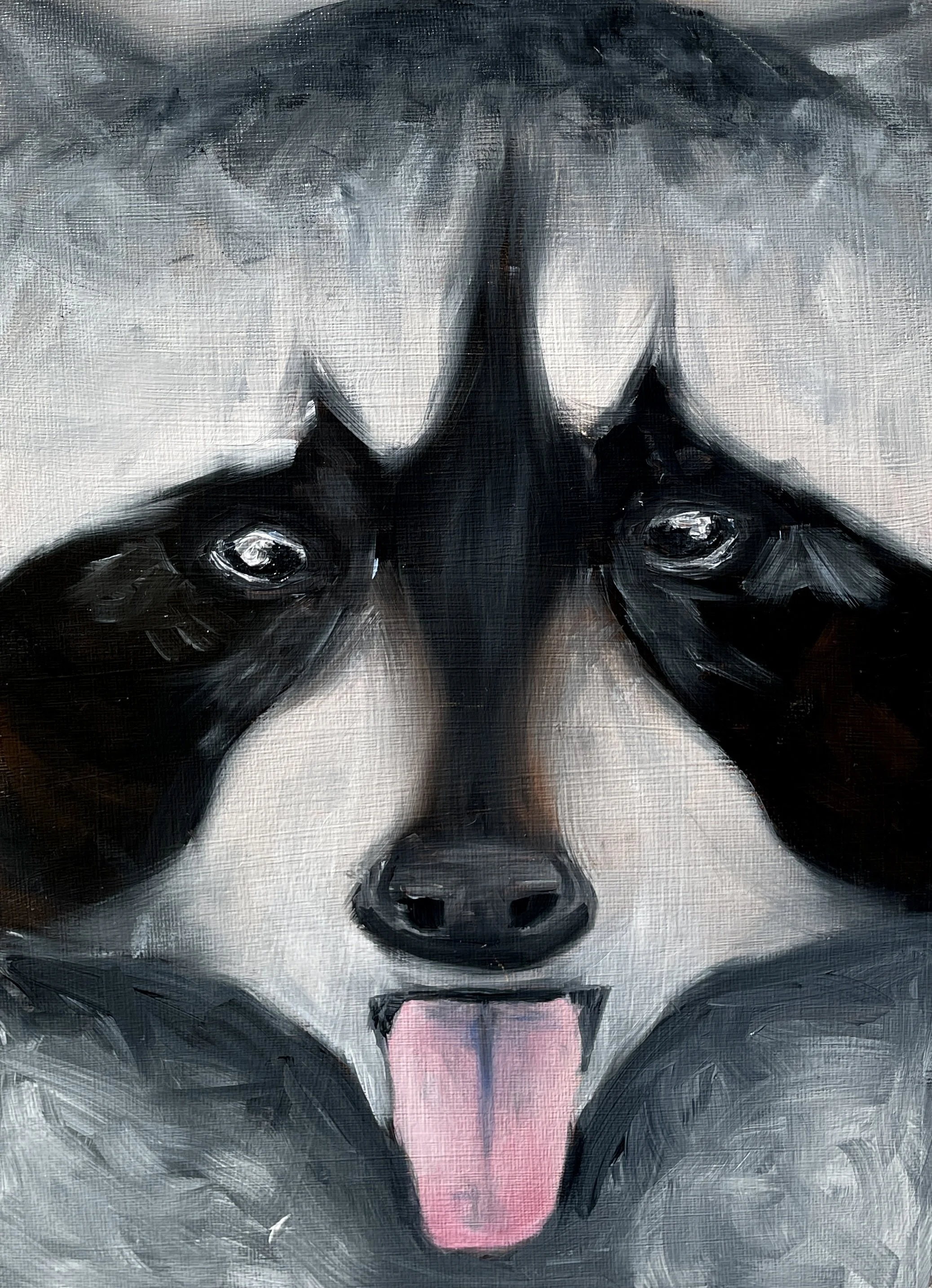 Raccoon Print