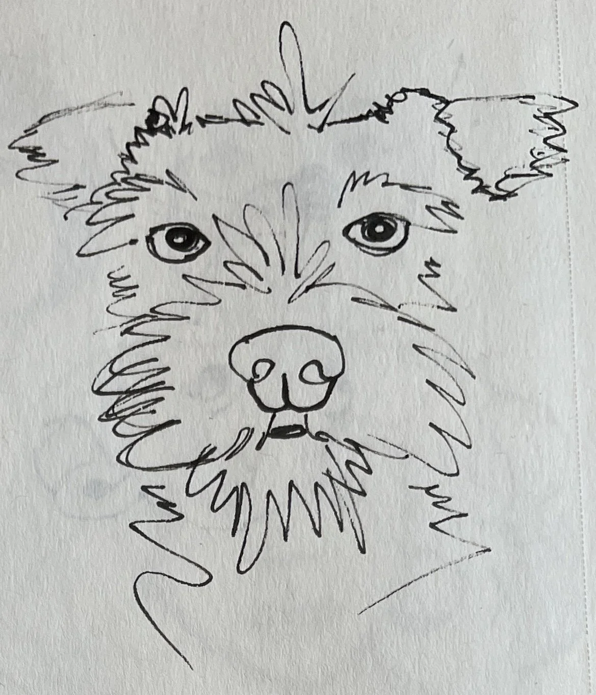 ink pet portrait