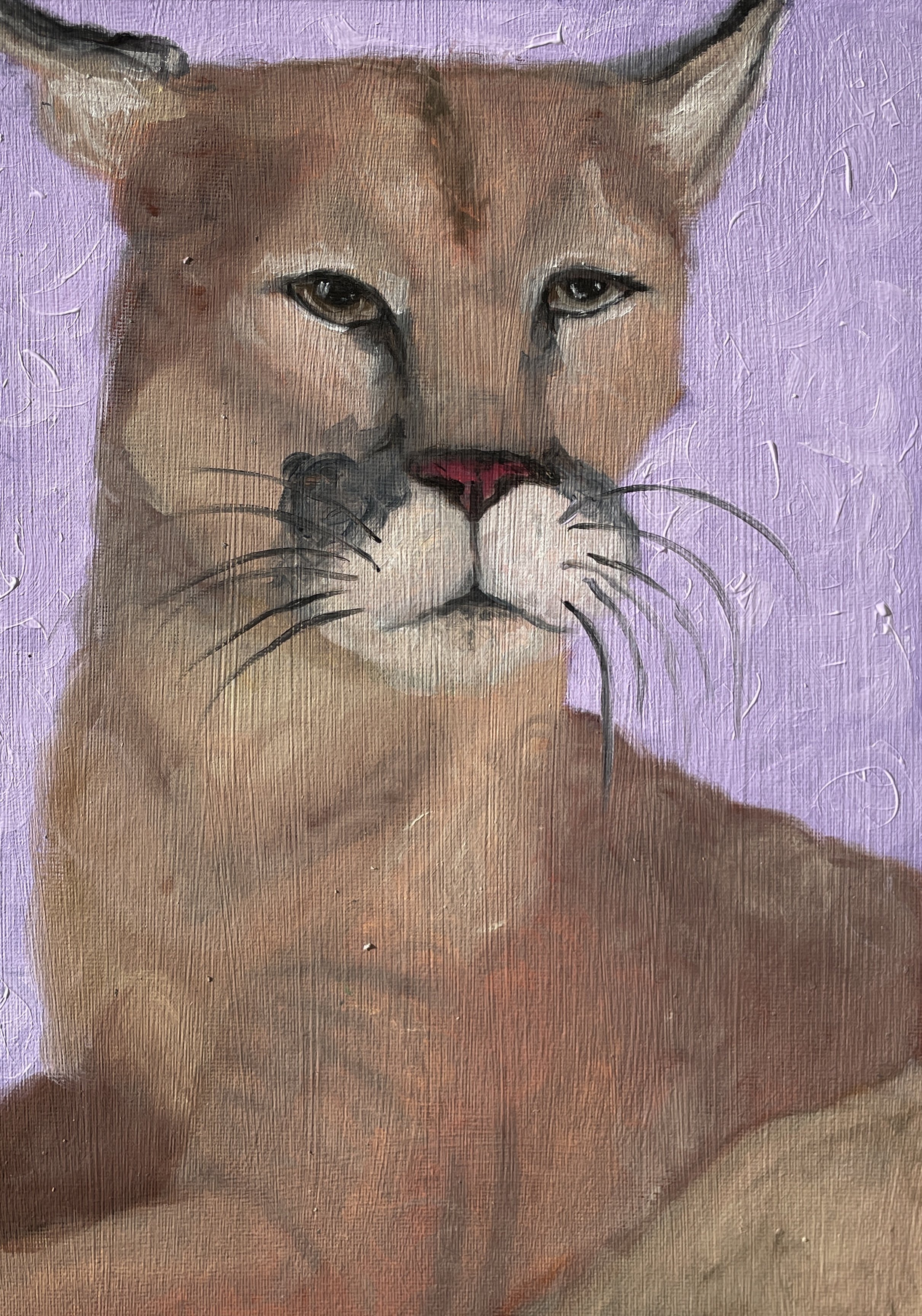 Mountain Lion Original Painting