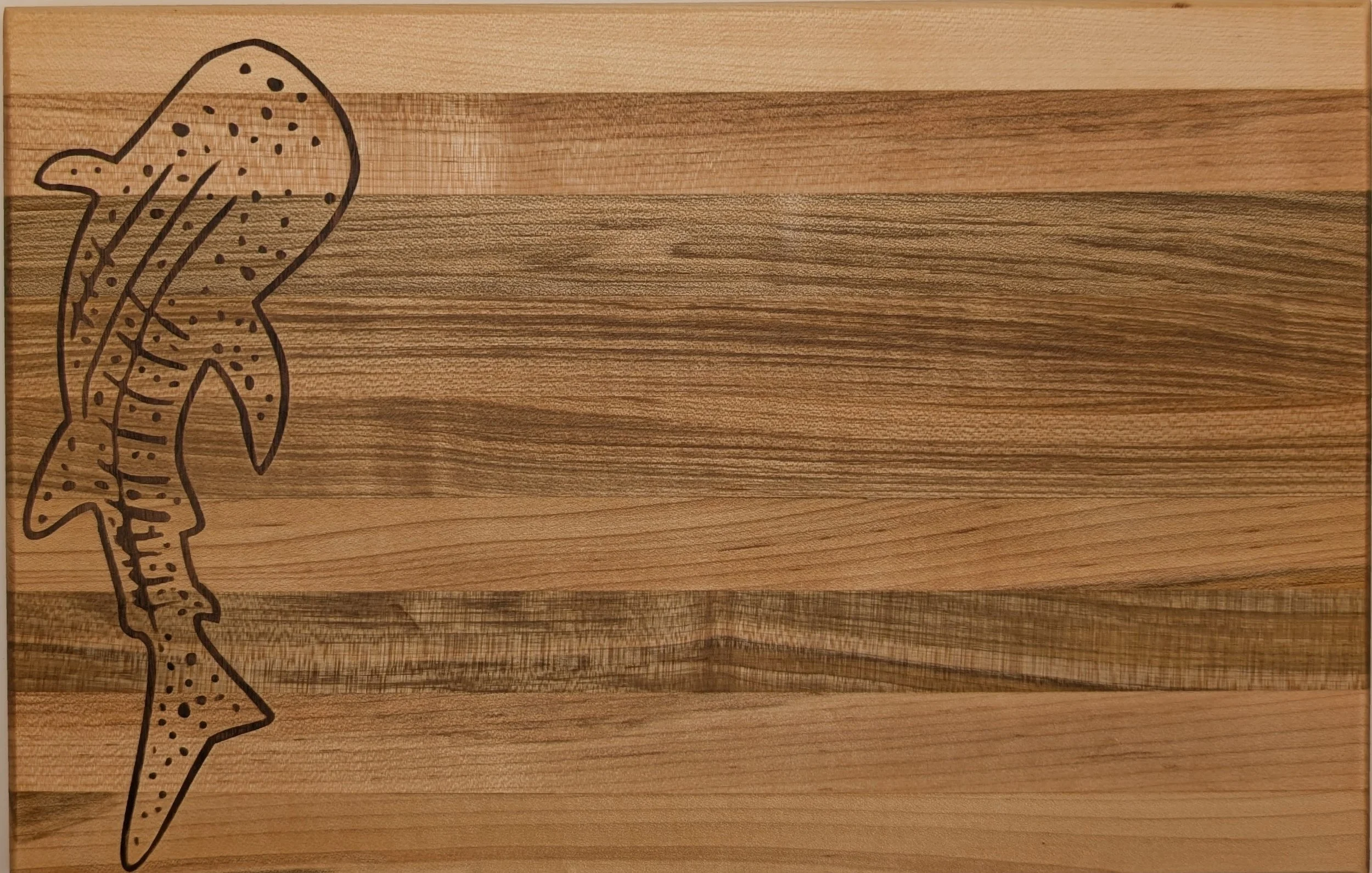 Whale Shark-charci-02.jpg