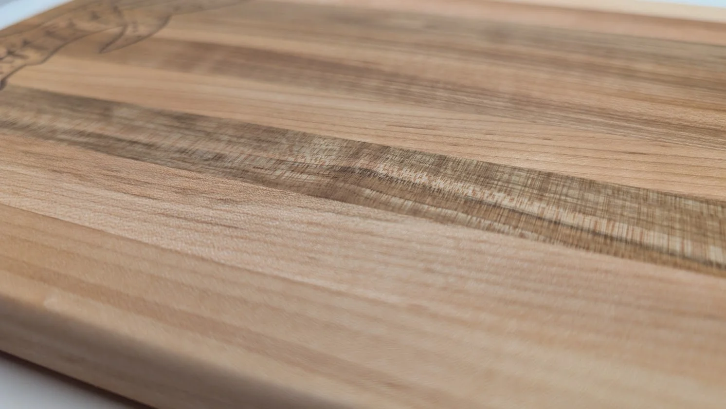 Whale shark-charci-02b.jpg