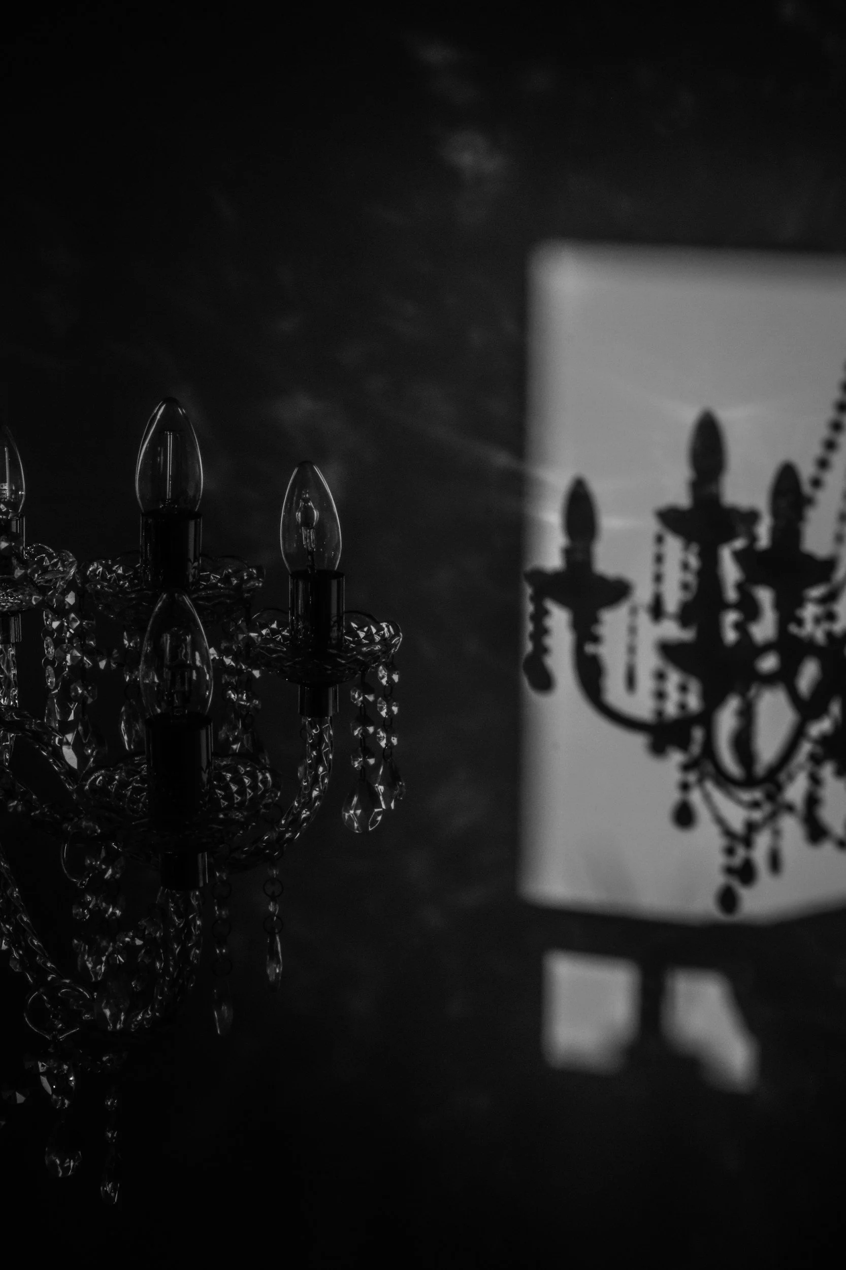 A crystal chandelier and a lamp with a chandelier shadow on the wall in black and white.