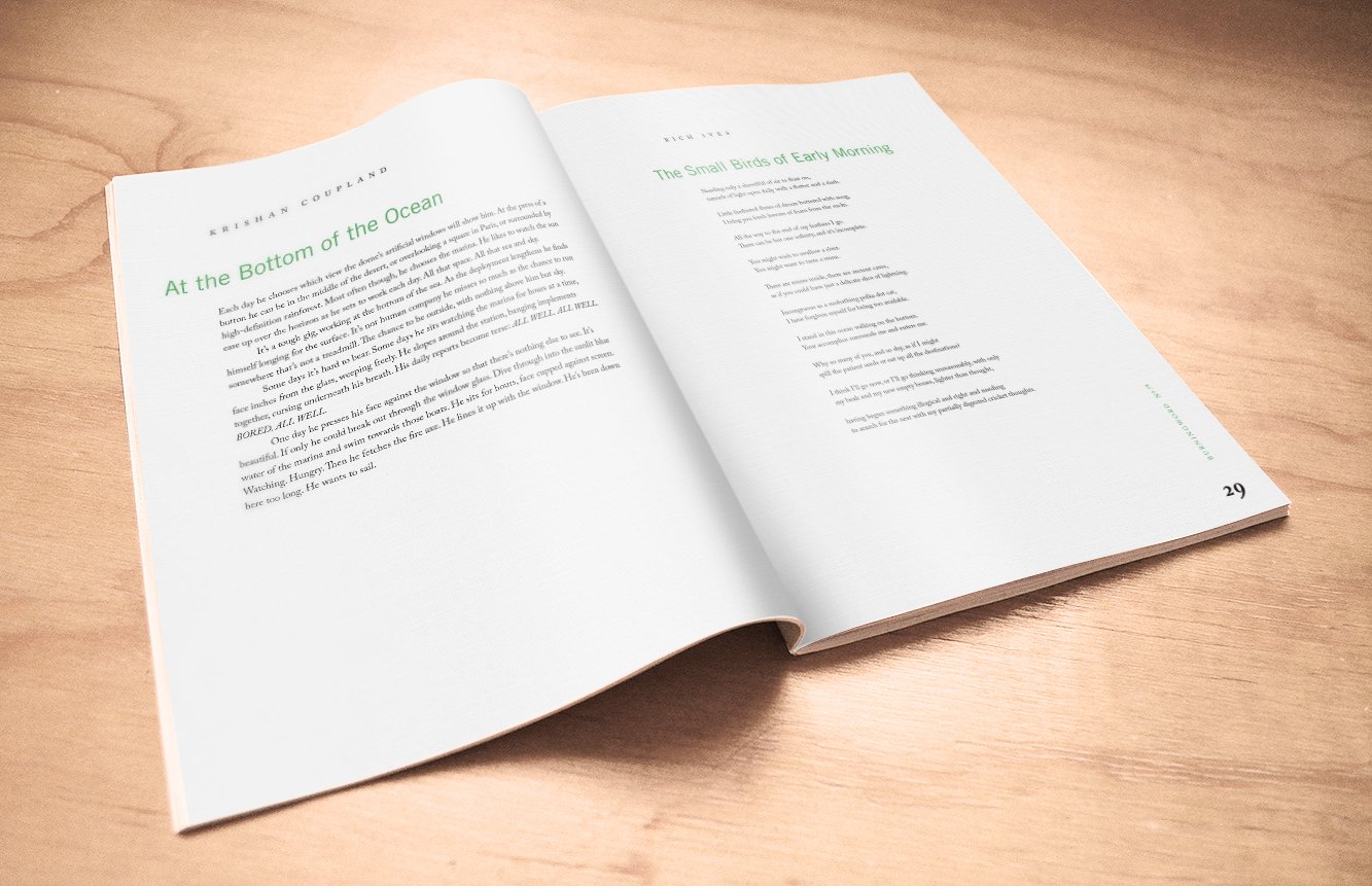 open spread of a journal