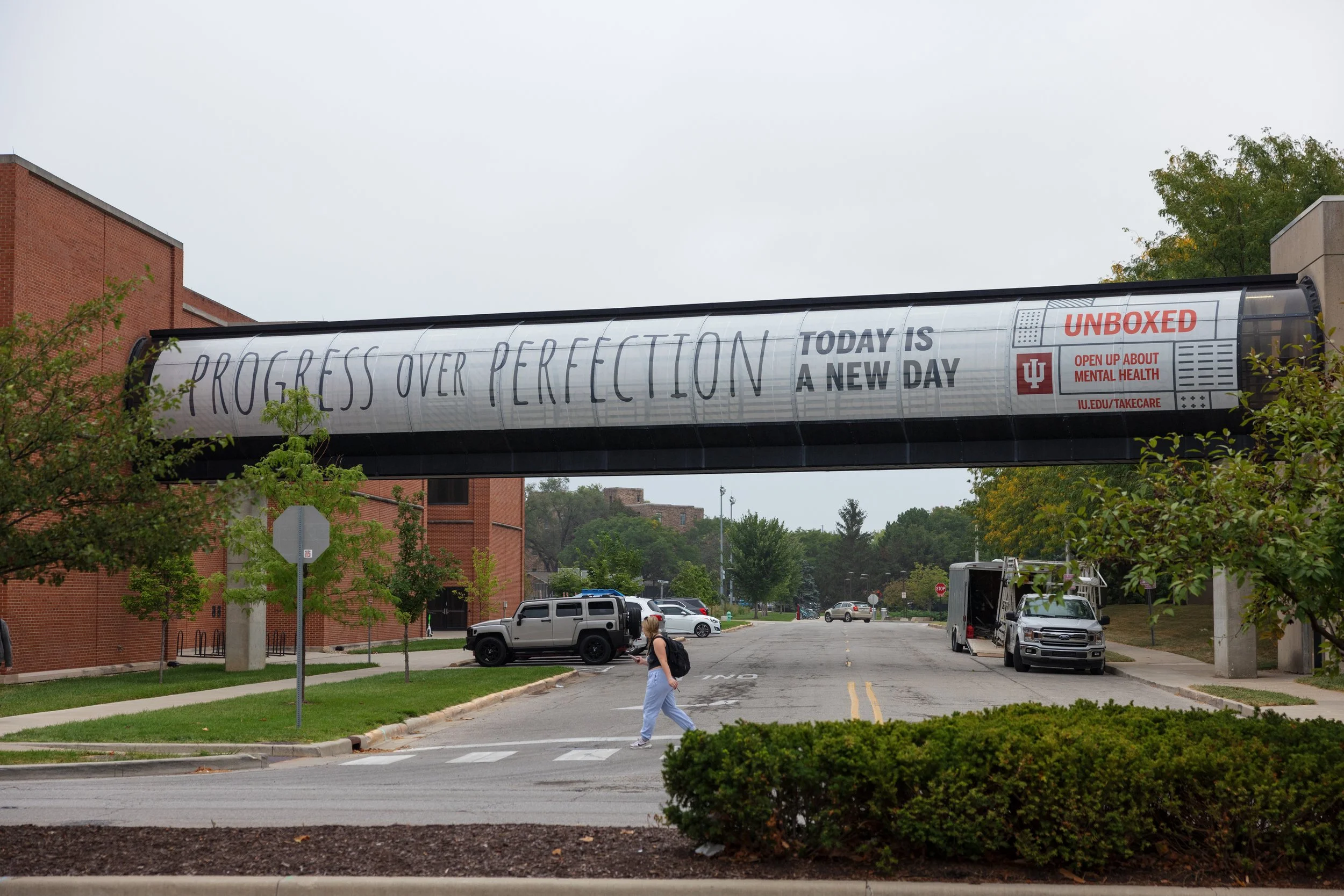 gerbil tube with a large white graphic with blue text reading "Progress over perfection. Today is a new day"
