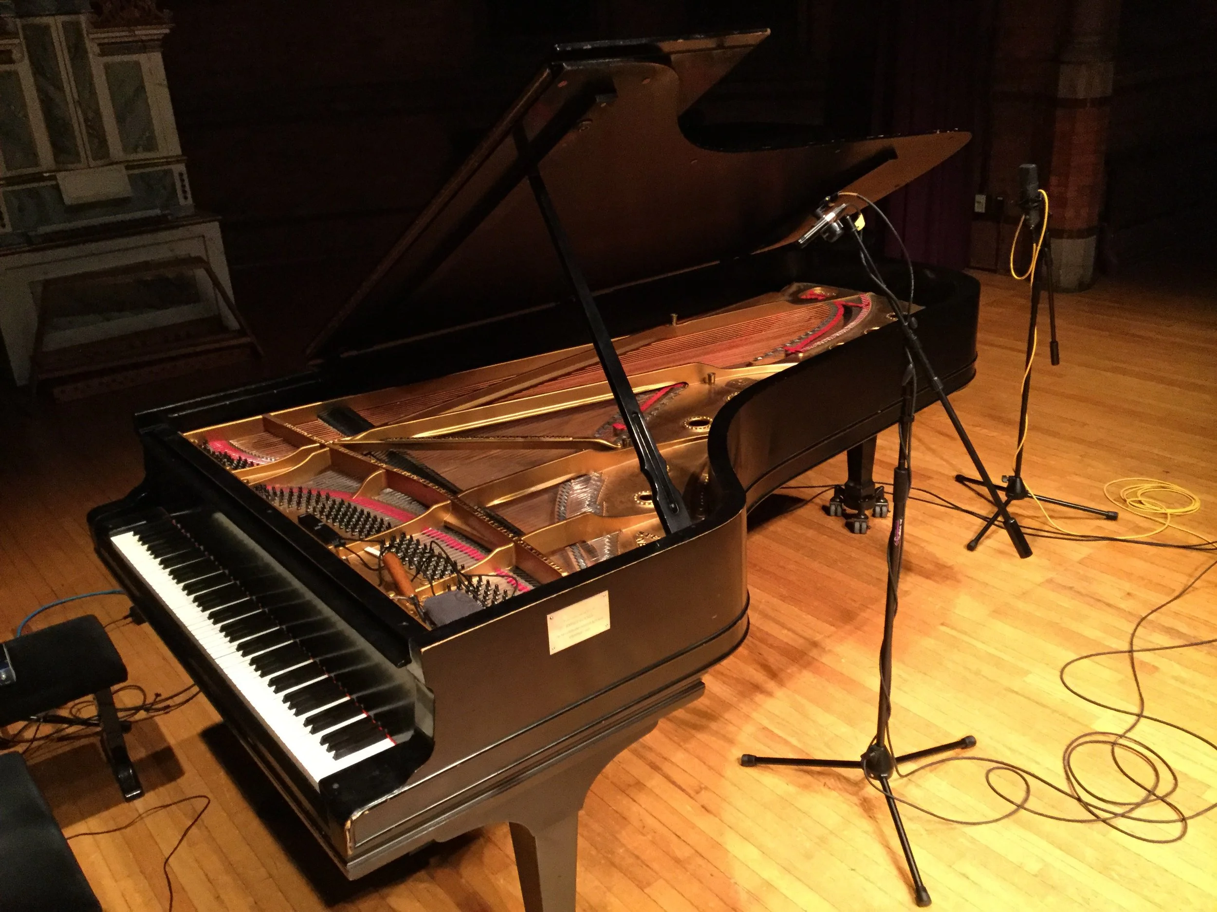 vines_HFZM_recording session_general4 2017.JPG