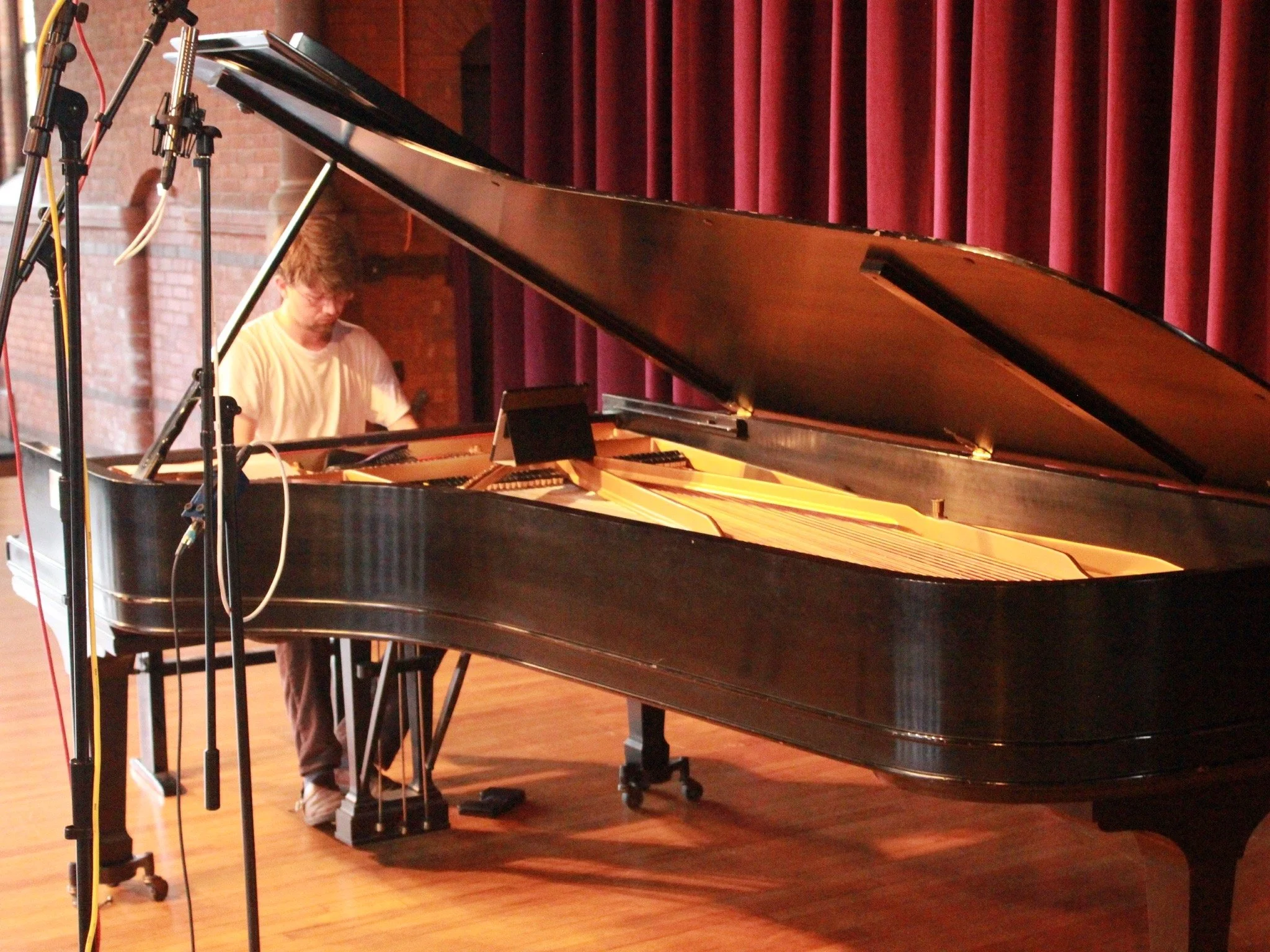 vines_HFZM_recording session_UV4.JPG