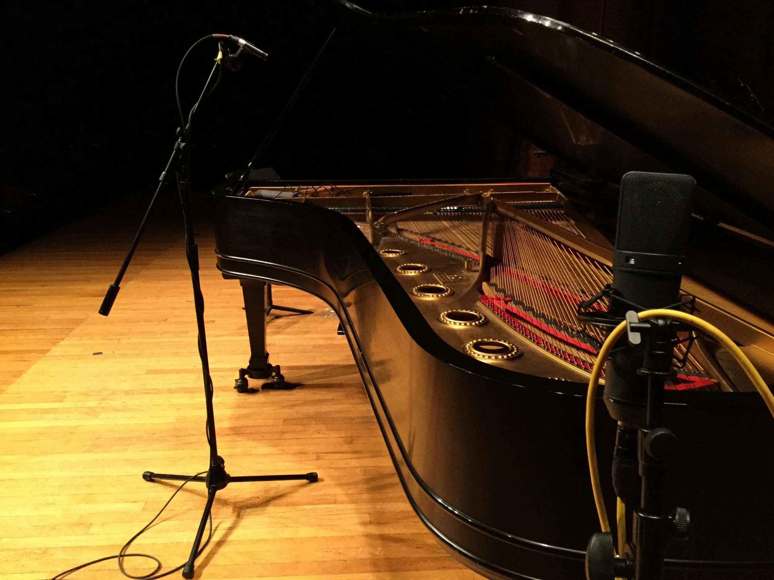 vines_HFZM_recording session_general3 2017.JPG
