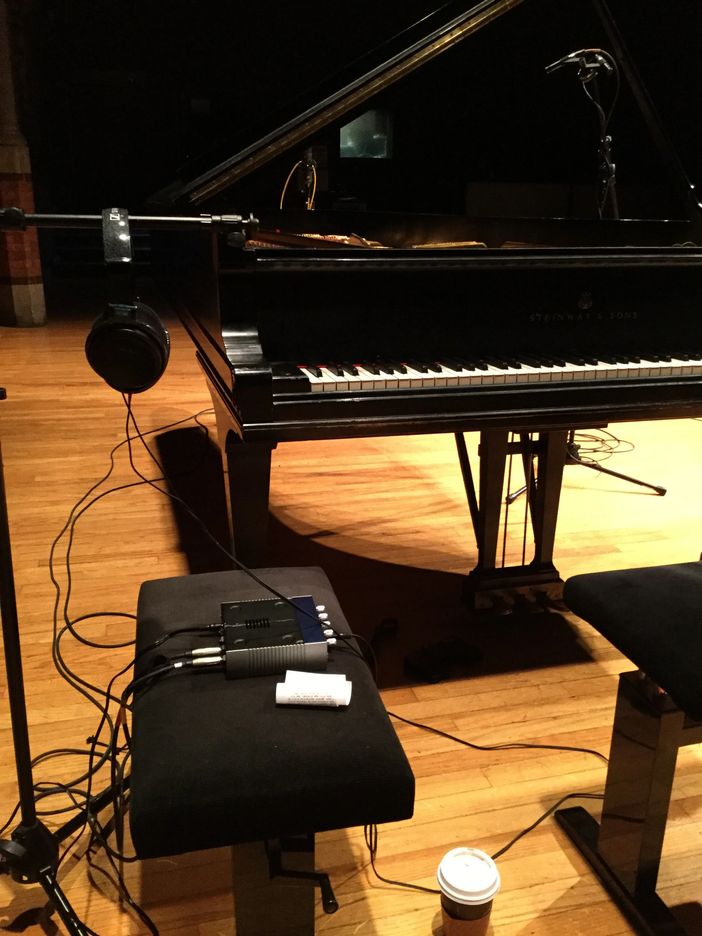 vines_HFZM_recording session_general2 2017.JPG
