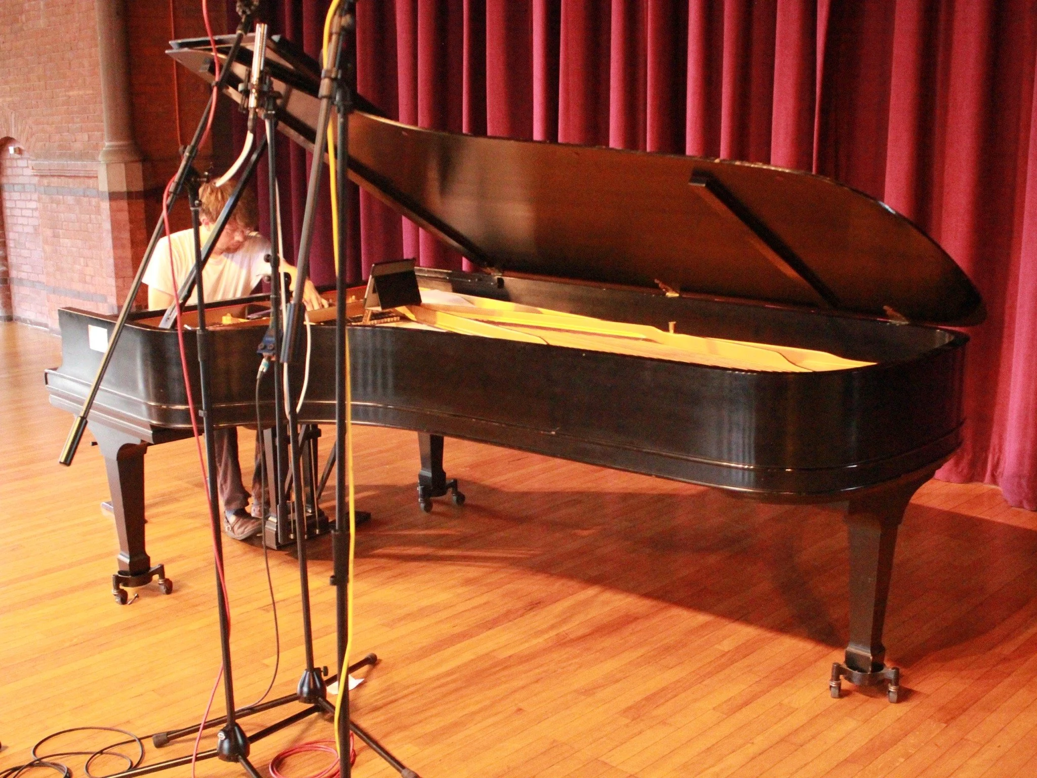 vines_HFZM_recording session_UV5.JPG