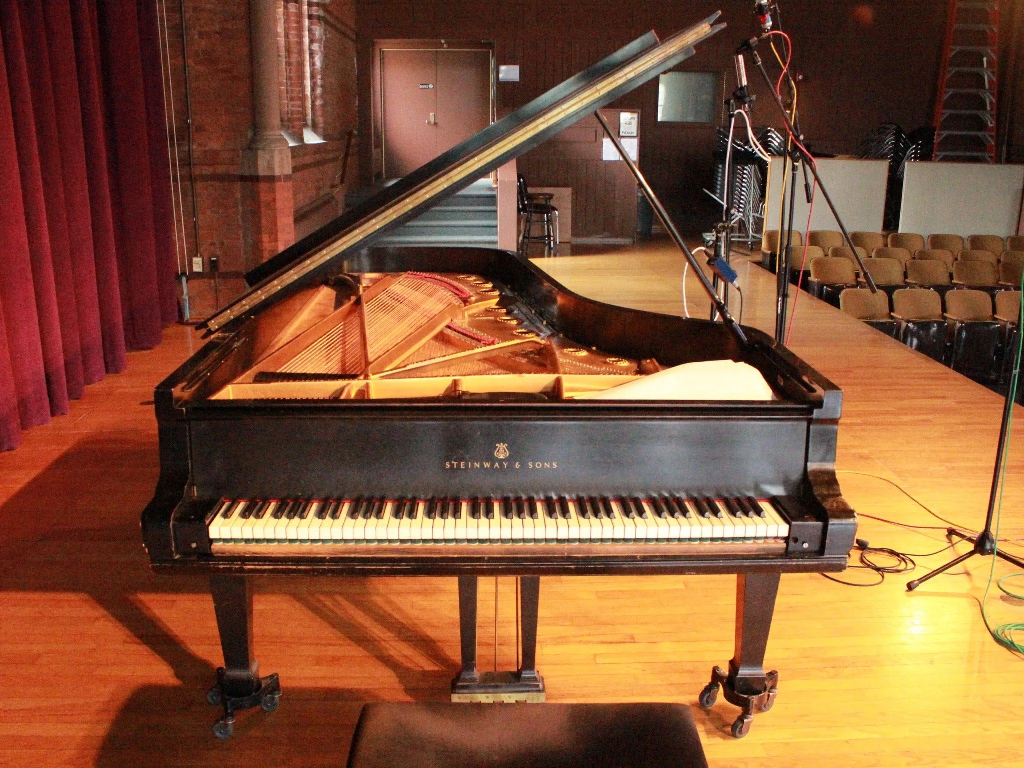 vines_HFZM_recording session_general5 2016.JPG