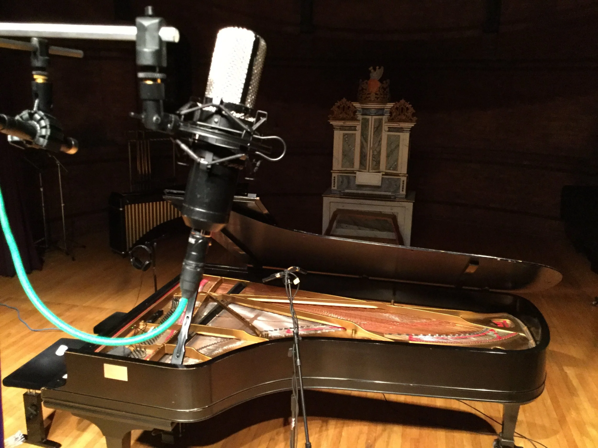 vines_HFZM_recording session_general1 2017.JPG