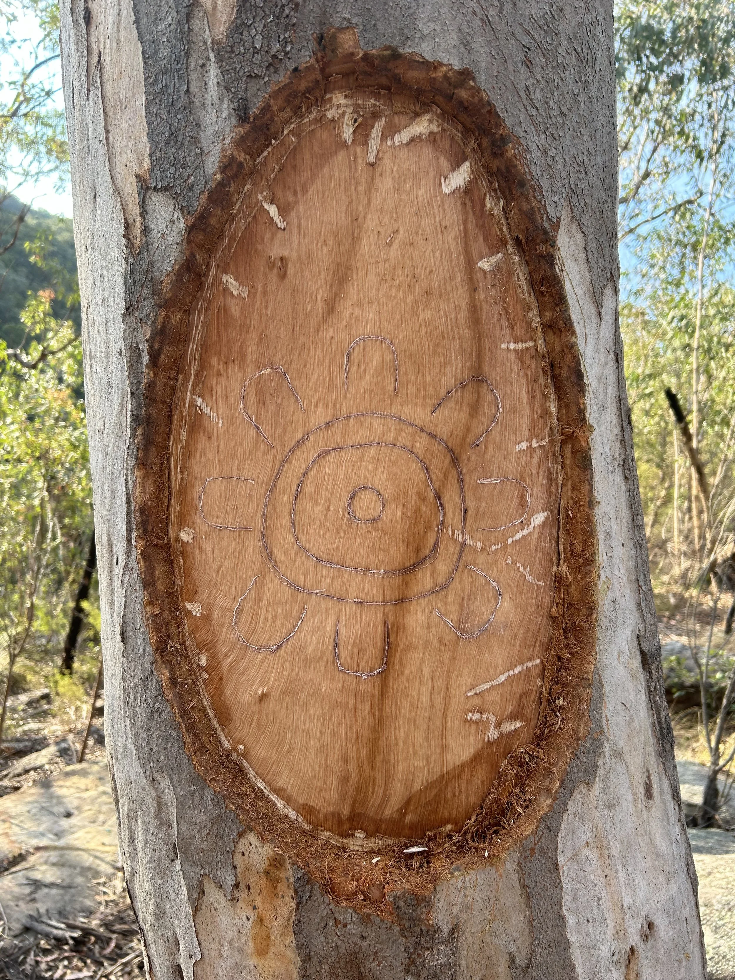 Tree trunk with a carved flower design outlined with a branch or stick, set in a forest environment.