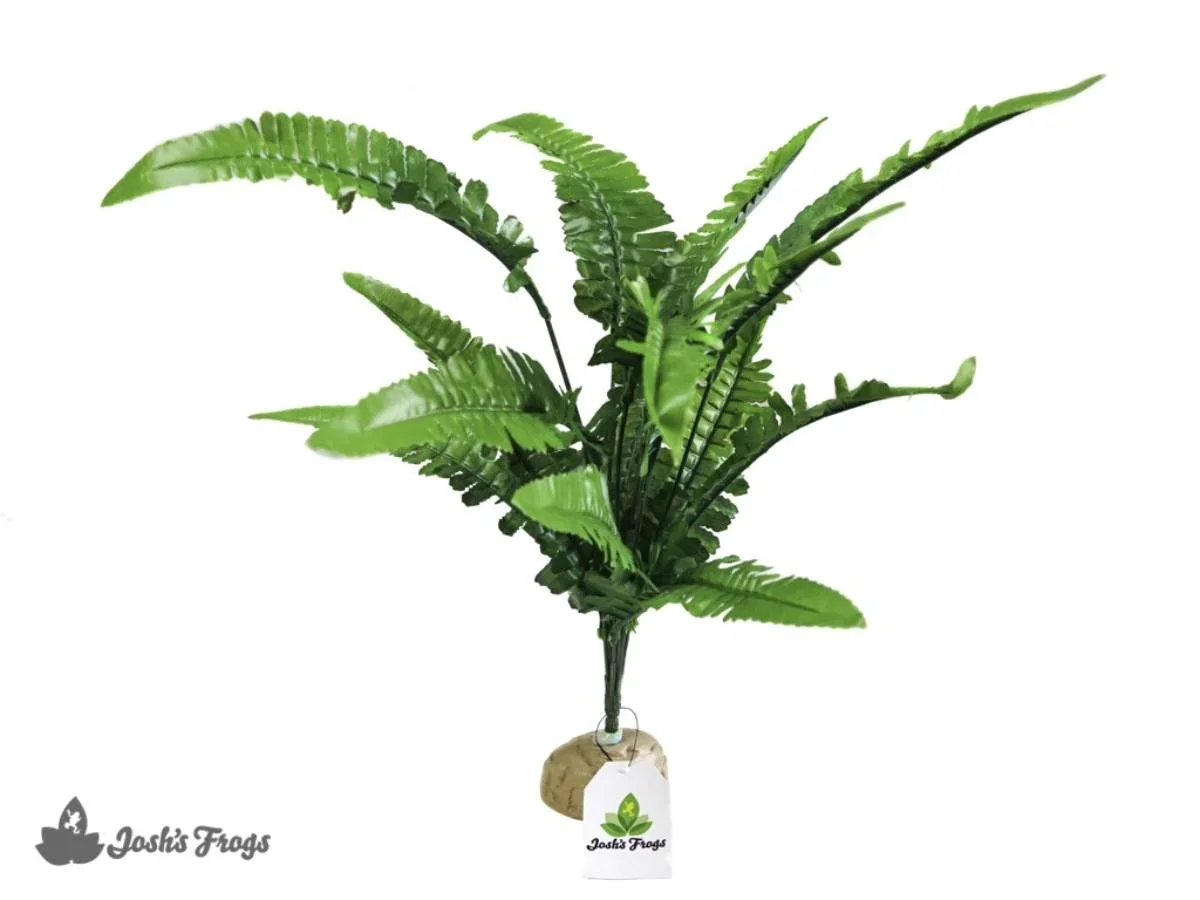 Josh's Frogs Artificial Fern