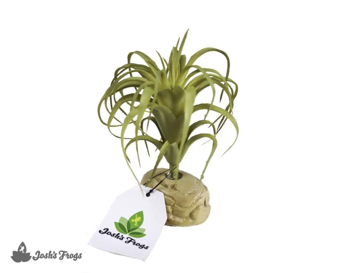 Josh's Frogs Artificial Air Plant