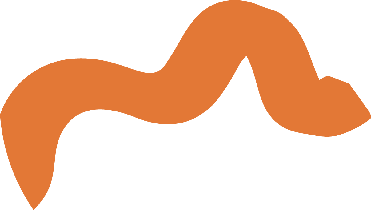 Orange squiggly shape on transparent background.