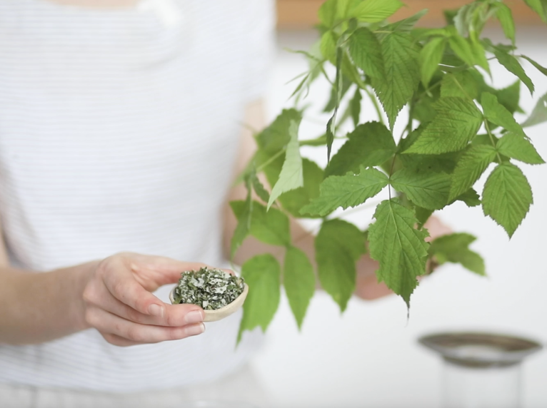 Person holding a small bowl of salt and herbs near a potted green plant with large leaves.