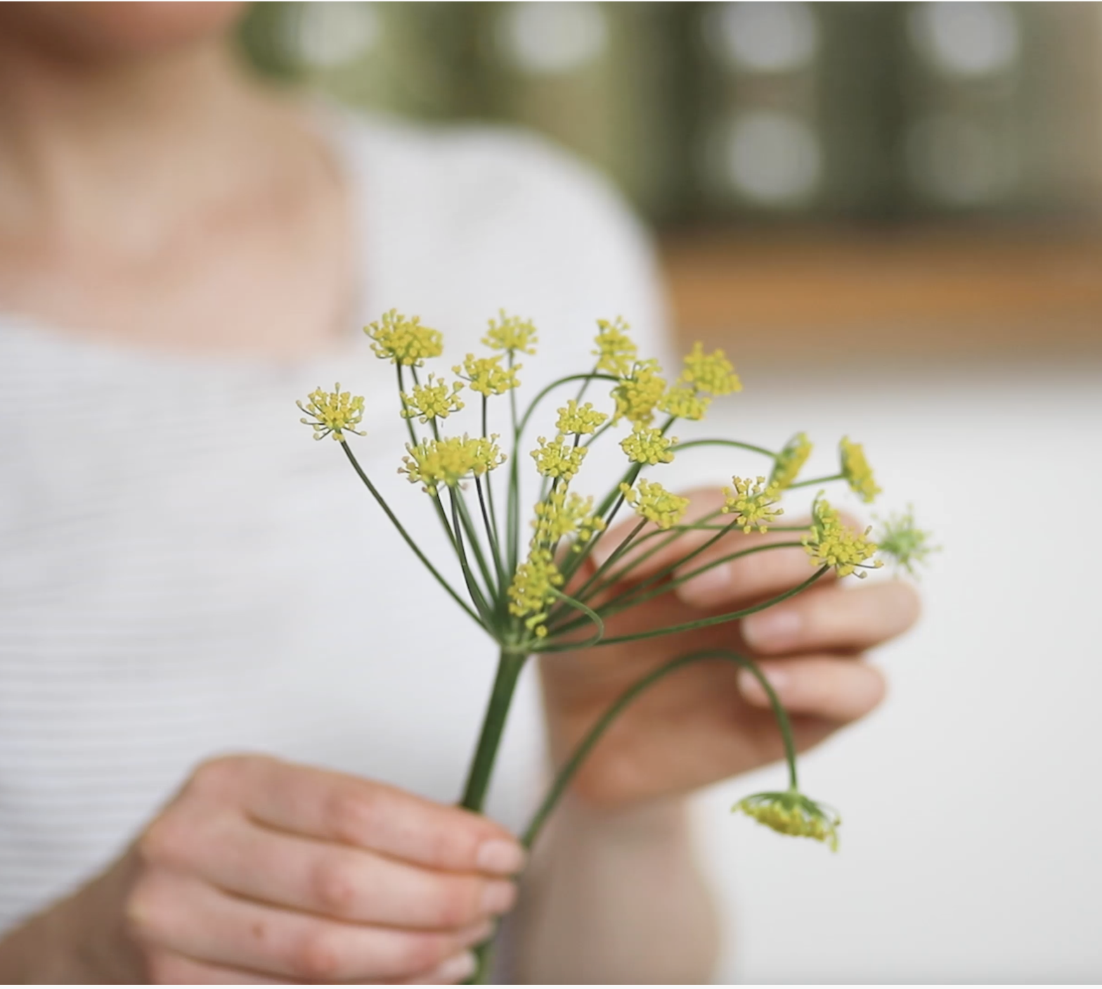 Person holding a small bouquet of yellow flowers with green stems, wearing a white top.