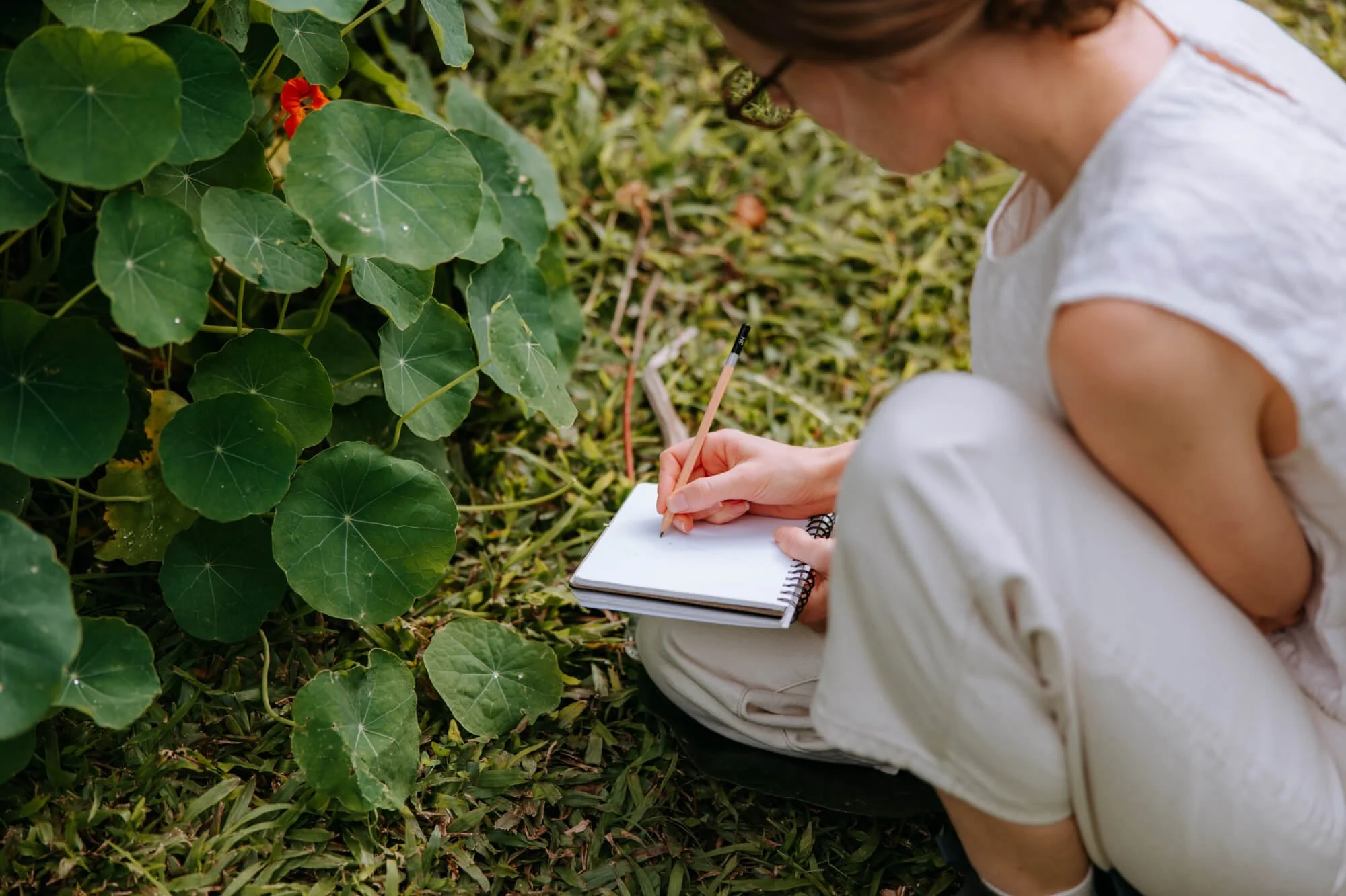Person sitting on grass next to green leafy plants, writing or drawing in a spiral notebook with a pencil.