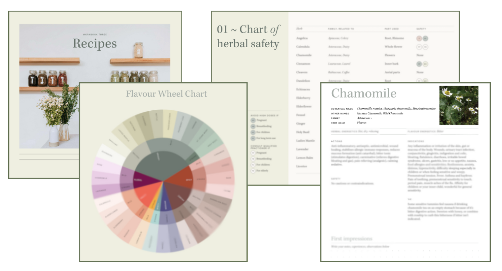 A collage of wellness and herbal medicine related documents and images, including a recipe workbook, herbal safety chart, flavor wheel chart, and information about chamomile with a photograph of chamomile flowers.